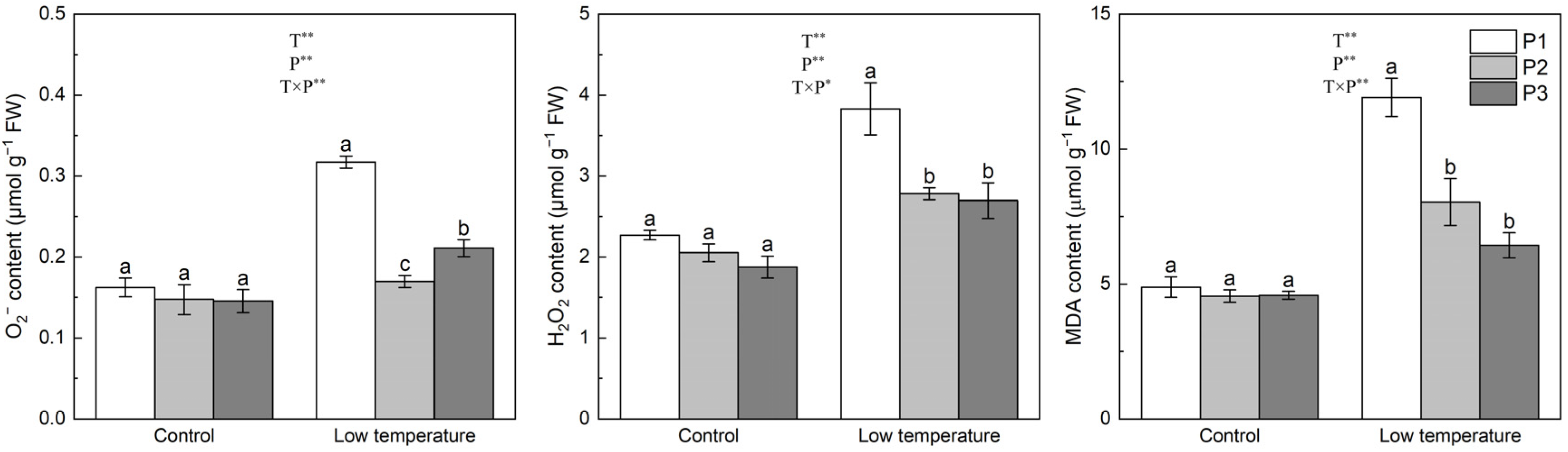 Agronomy 14 02902 g002