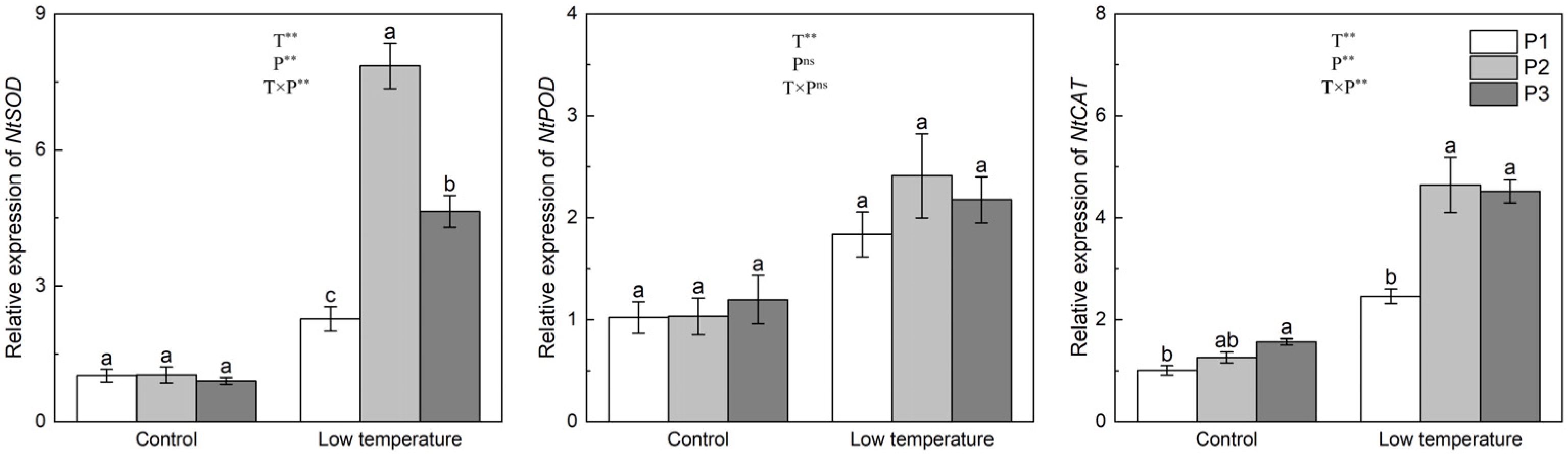 Agronomy 14 02902 g005