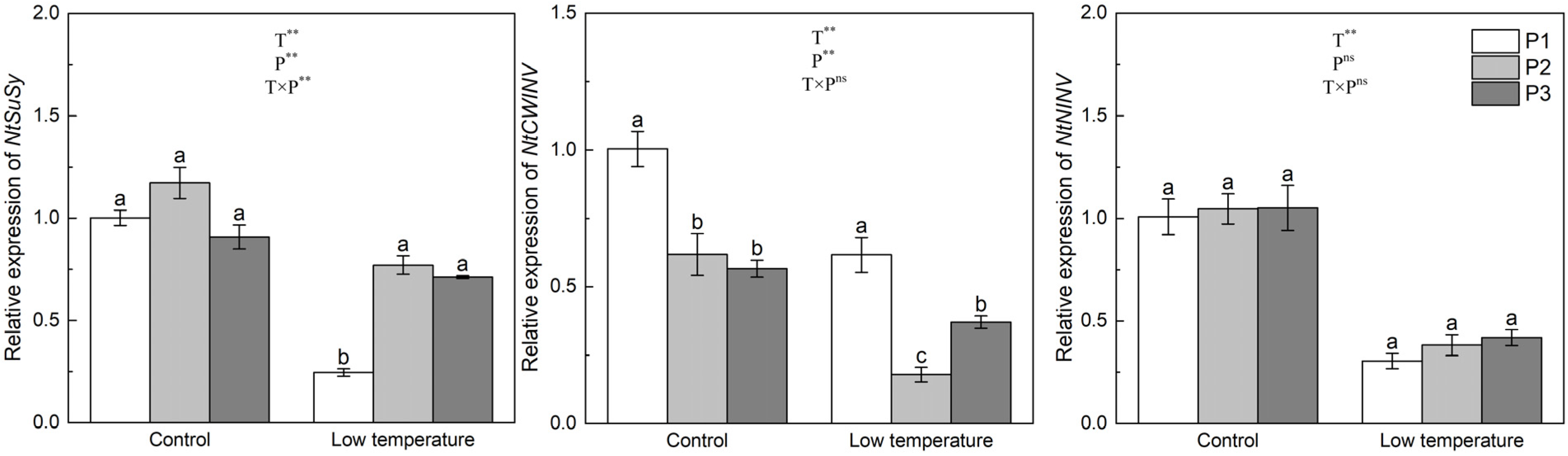 Agronomy 14 02902 g006