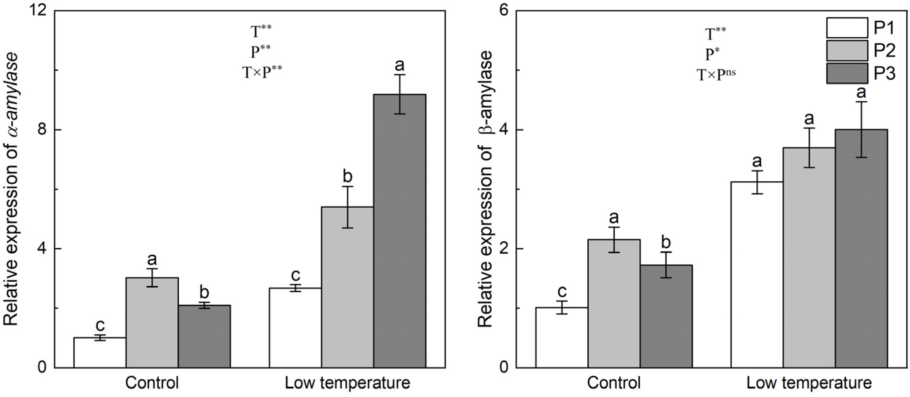 Agronomy 14 02902 g008