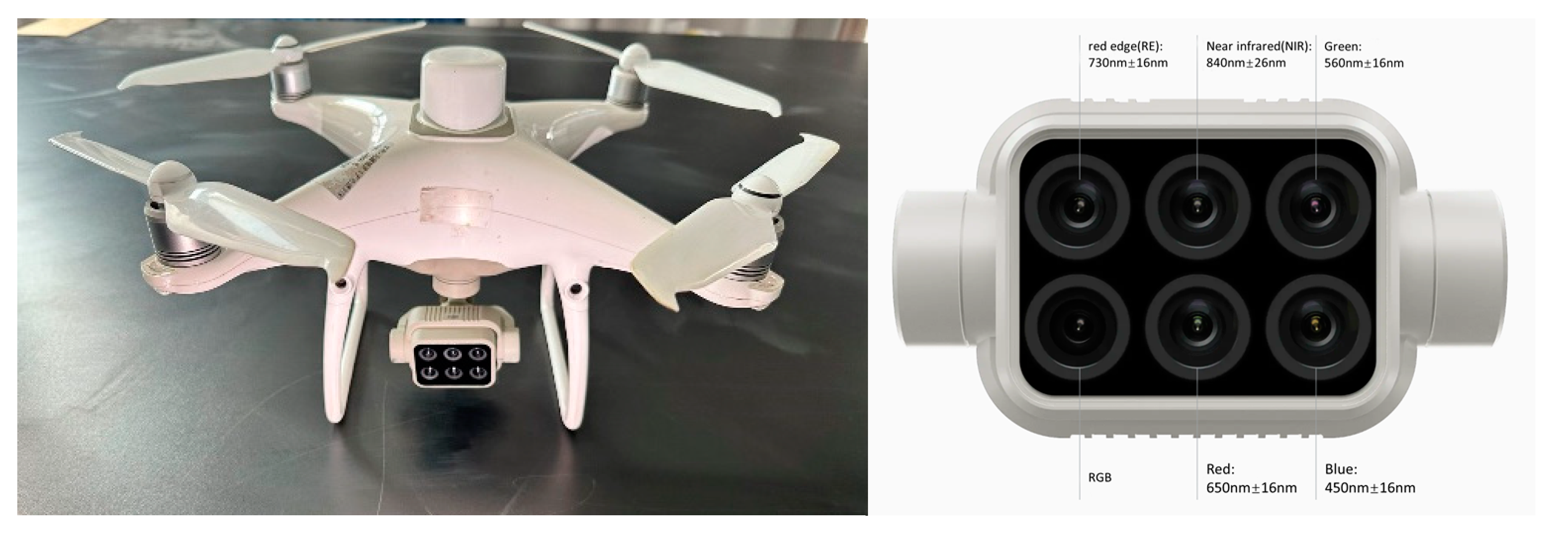 Agronomy 14 02903 g002