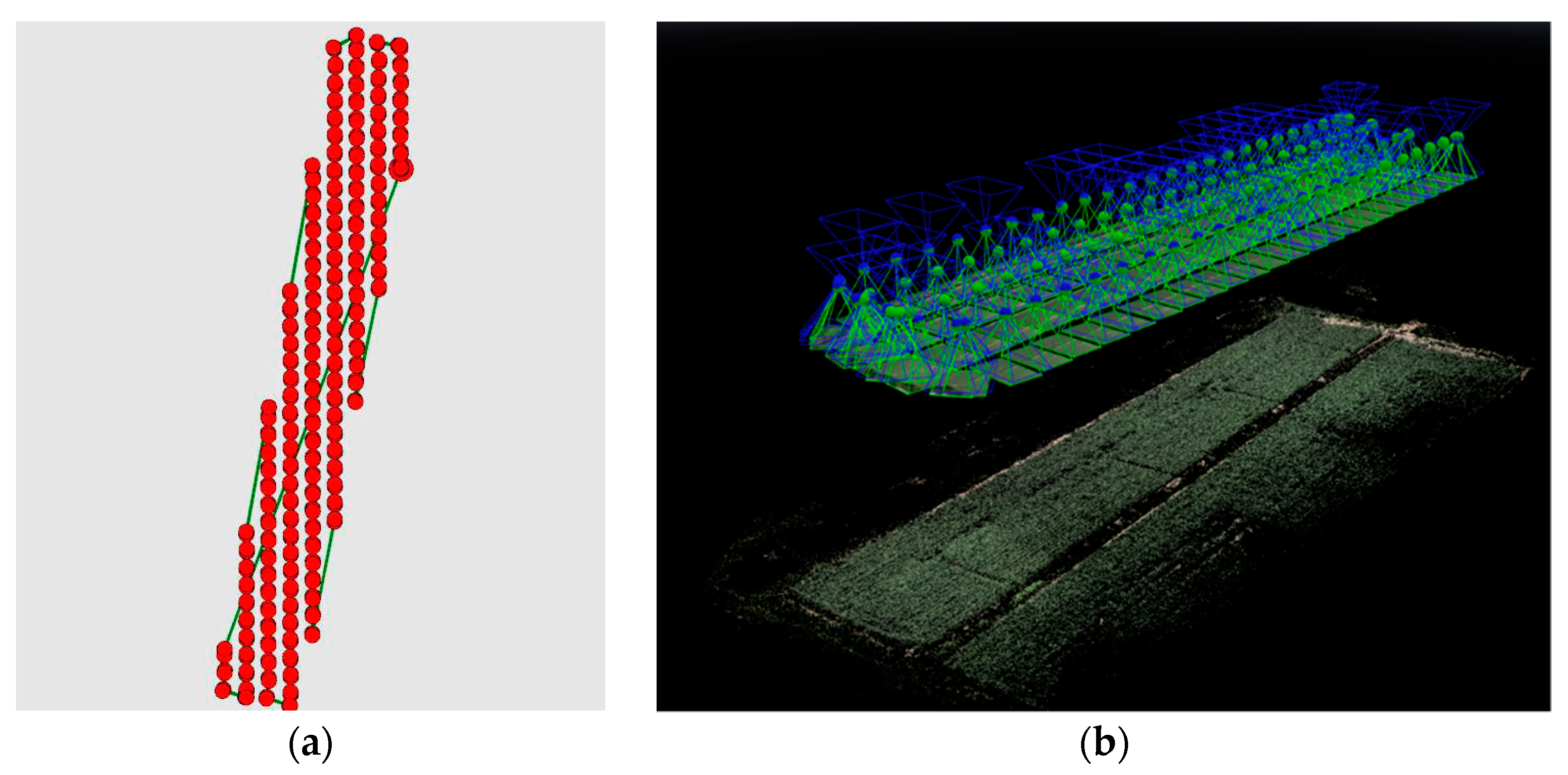 Agronomy 14 02903 g004