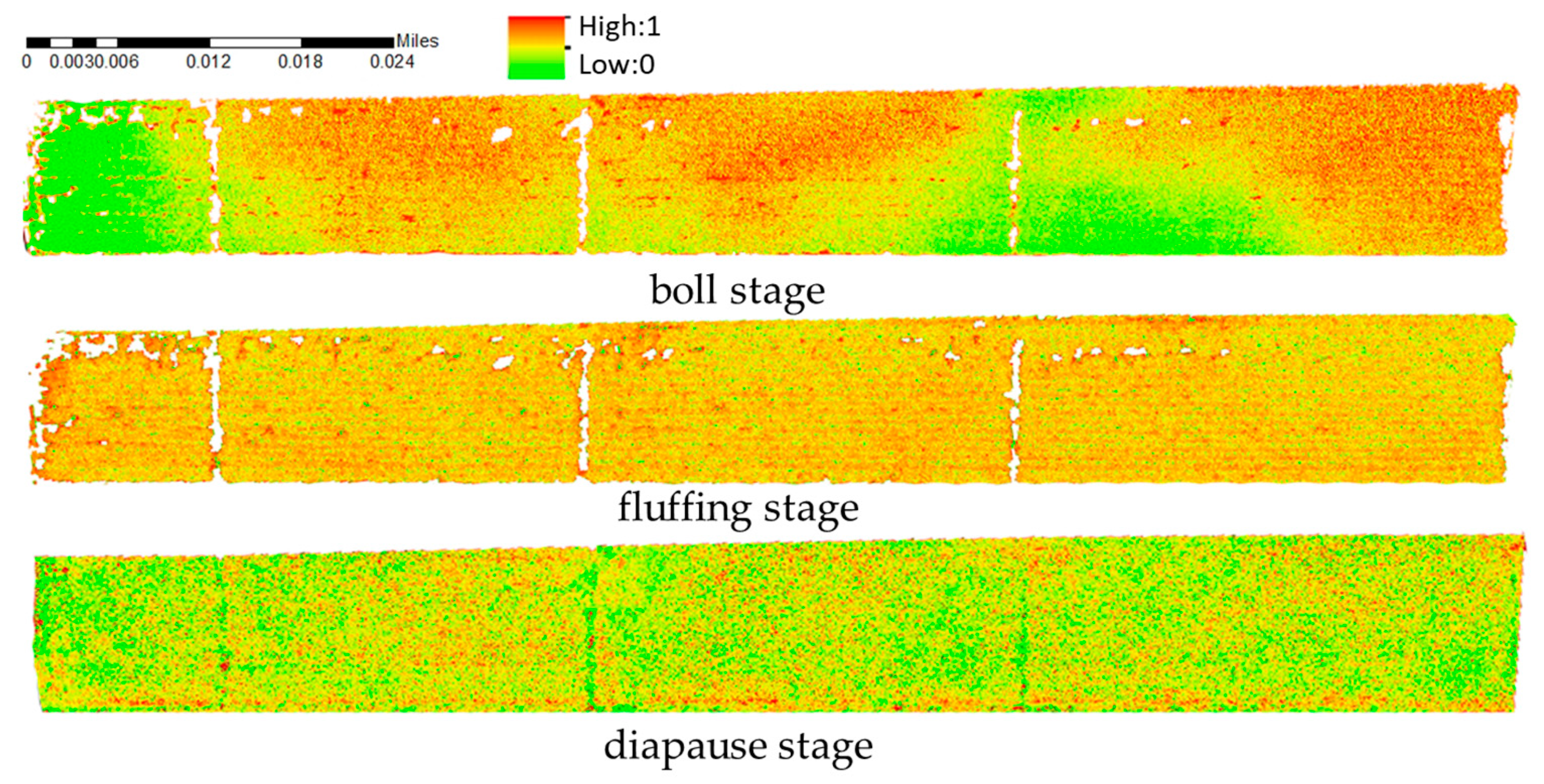 Agronomy 14 02903 g008