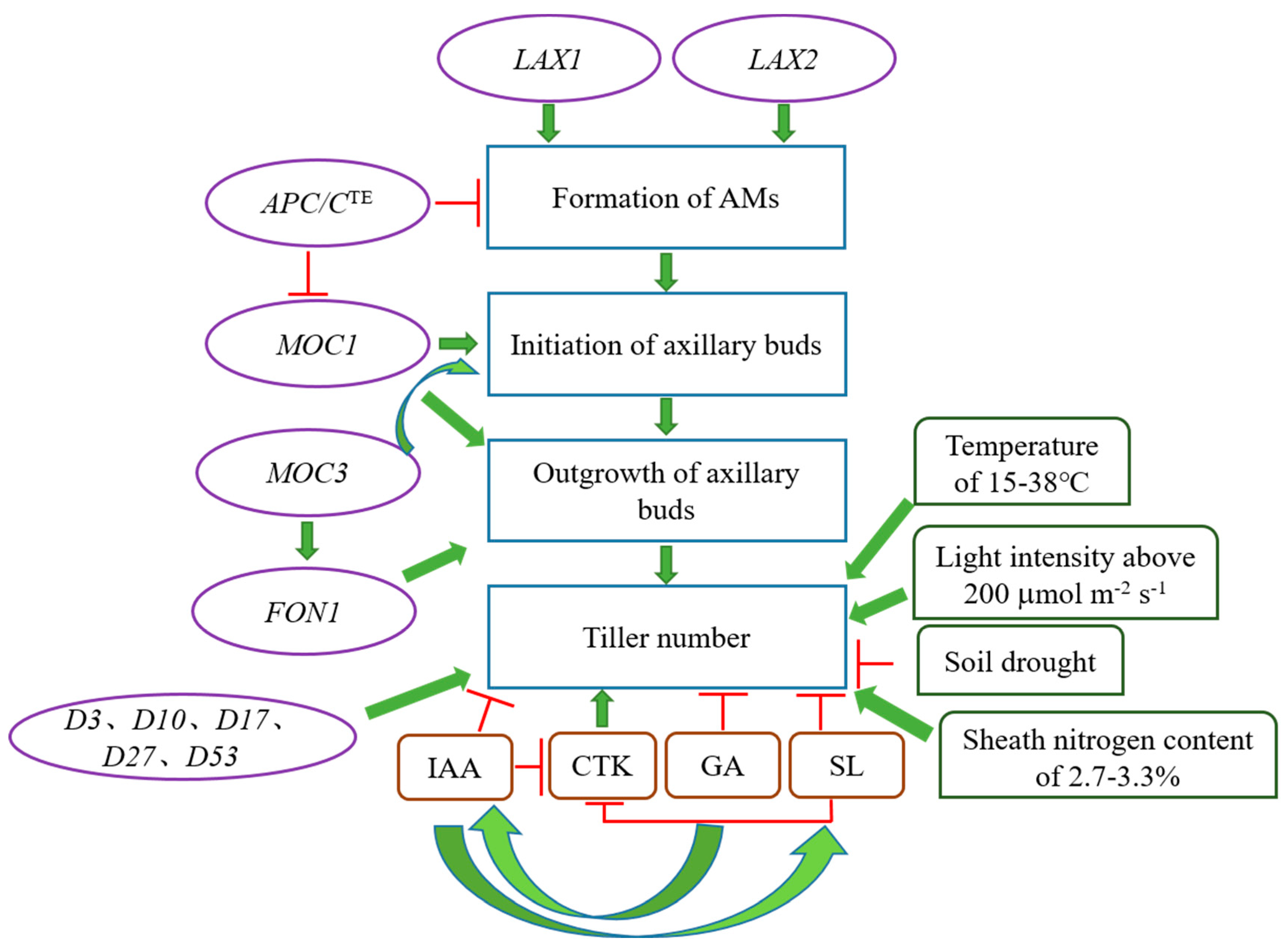 Agronomy 14 02904 g002