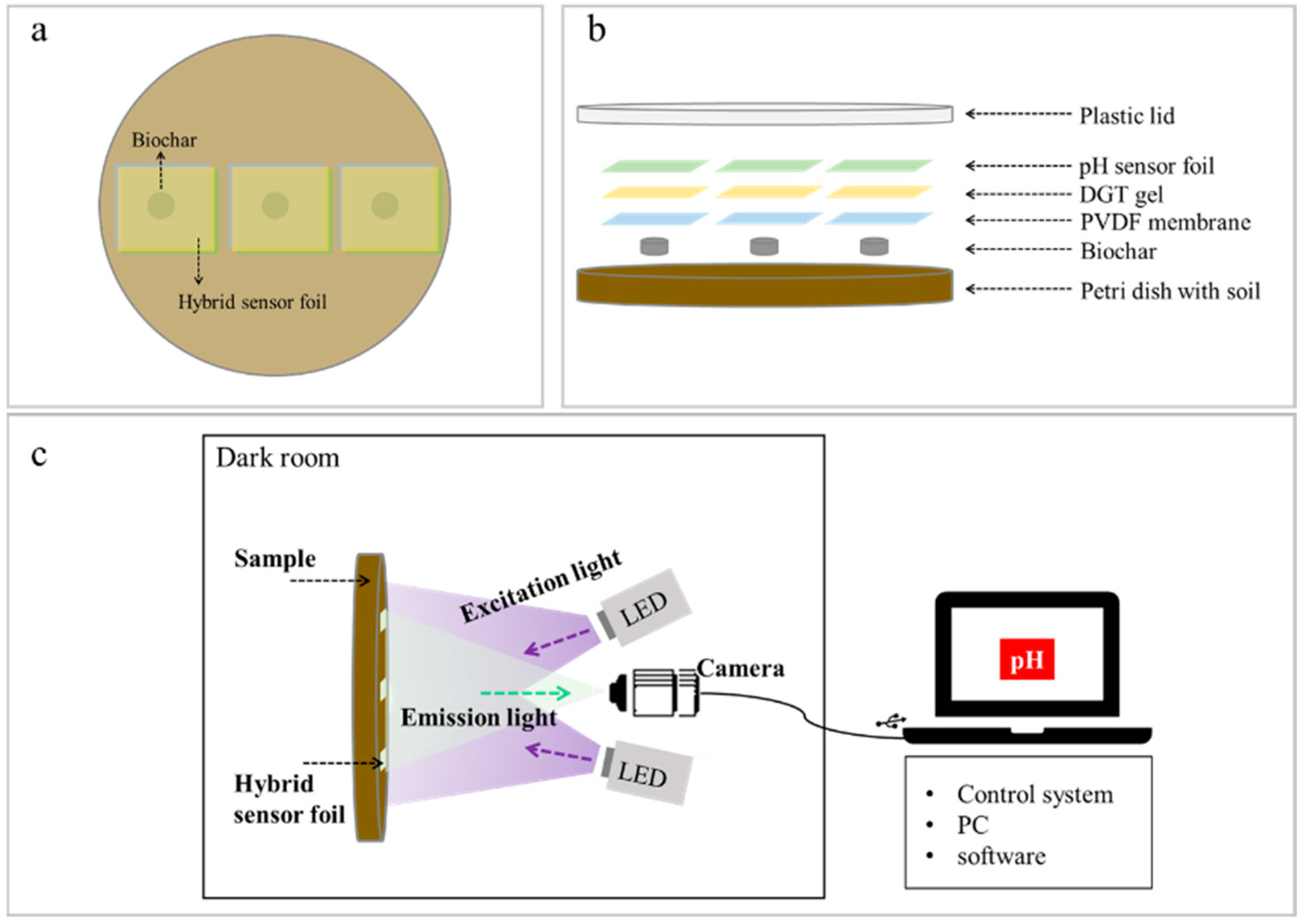 Agronomy 14 02907 g001