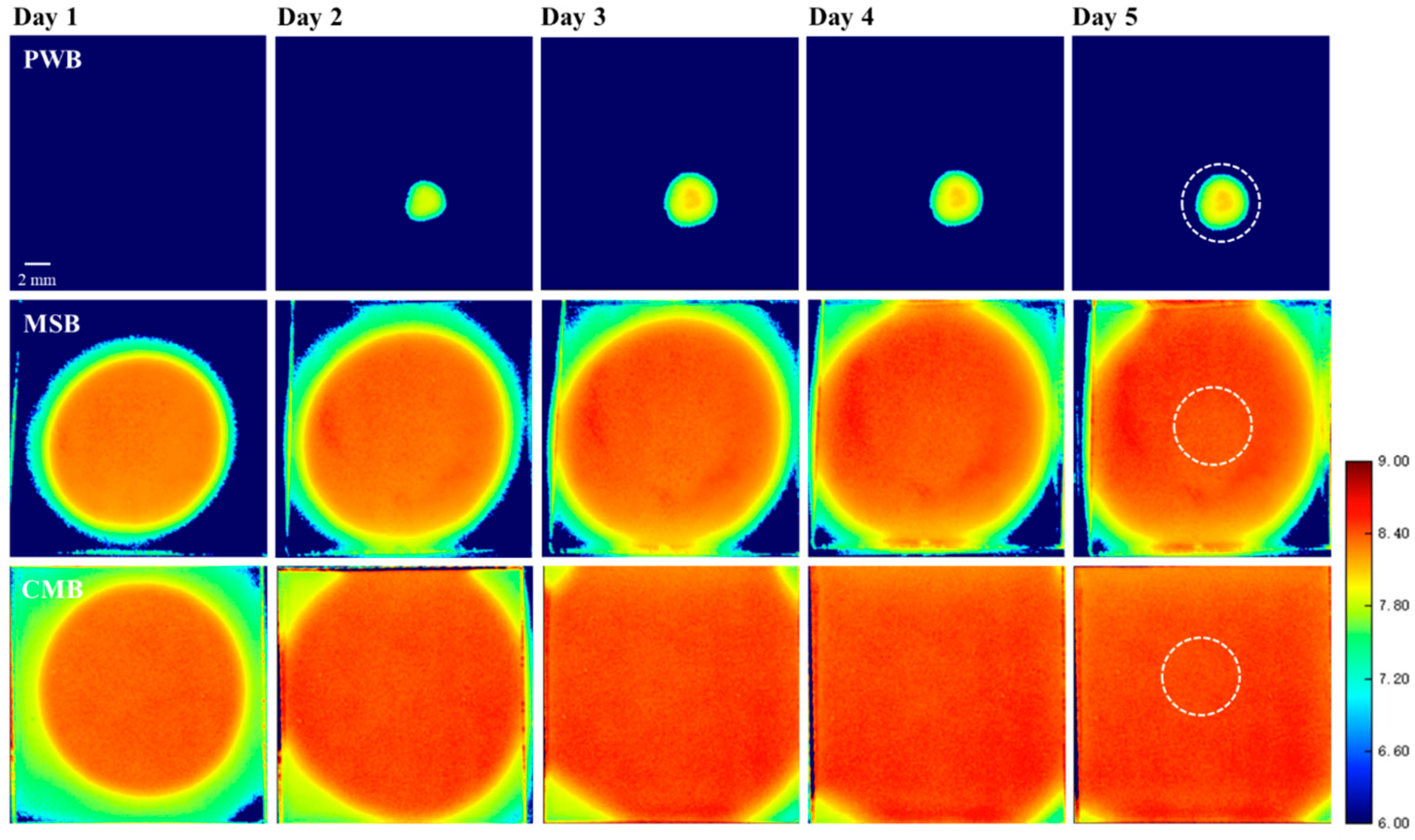 Agronomy 14 02907 g002