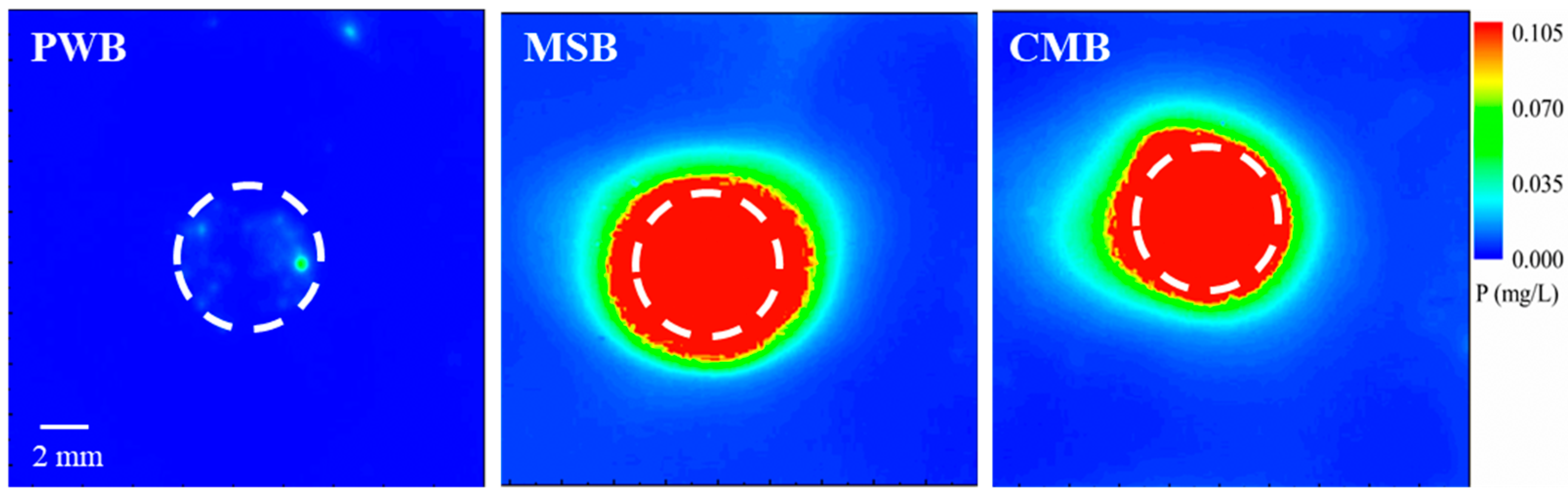 Agronomy 14 02907 g004
