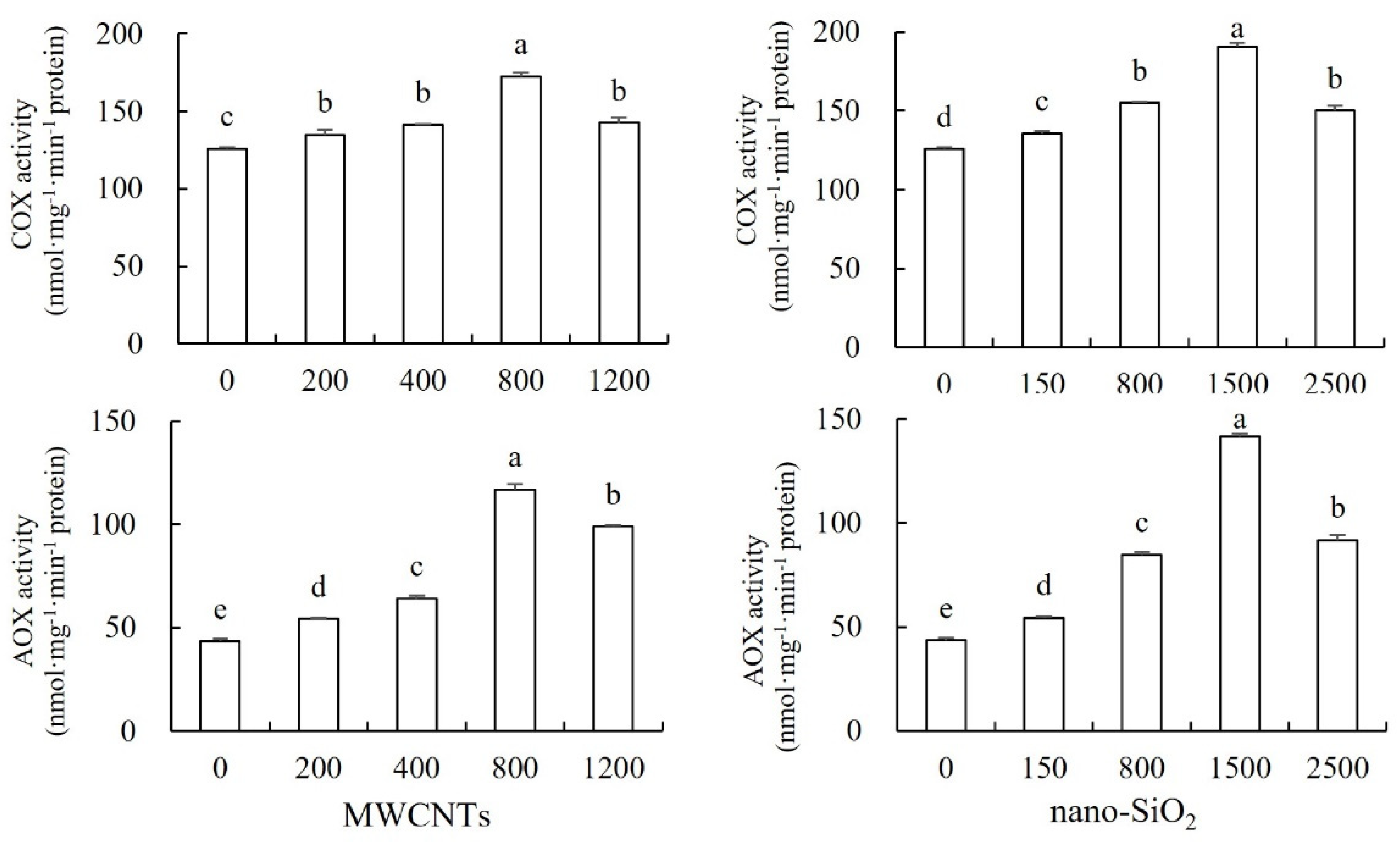 Agronomy 14 02908 g003