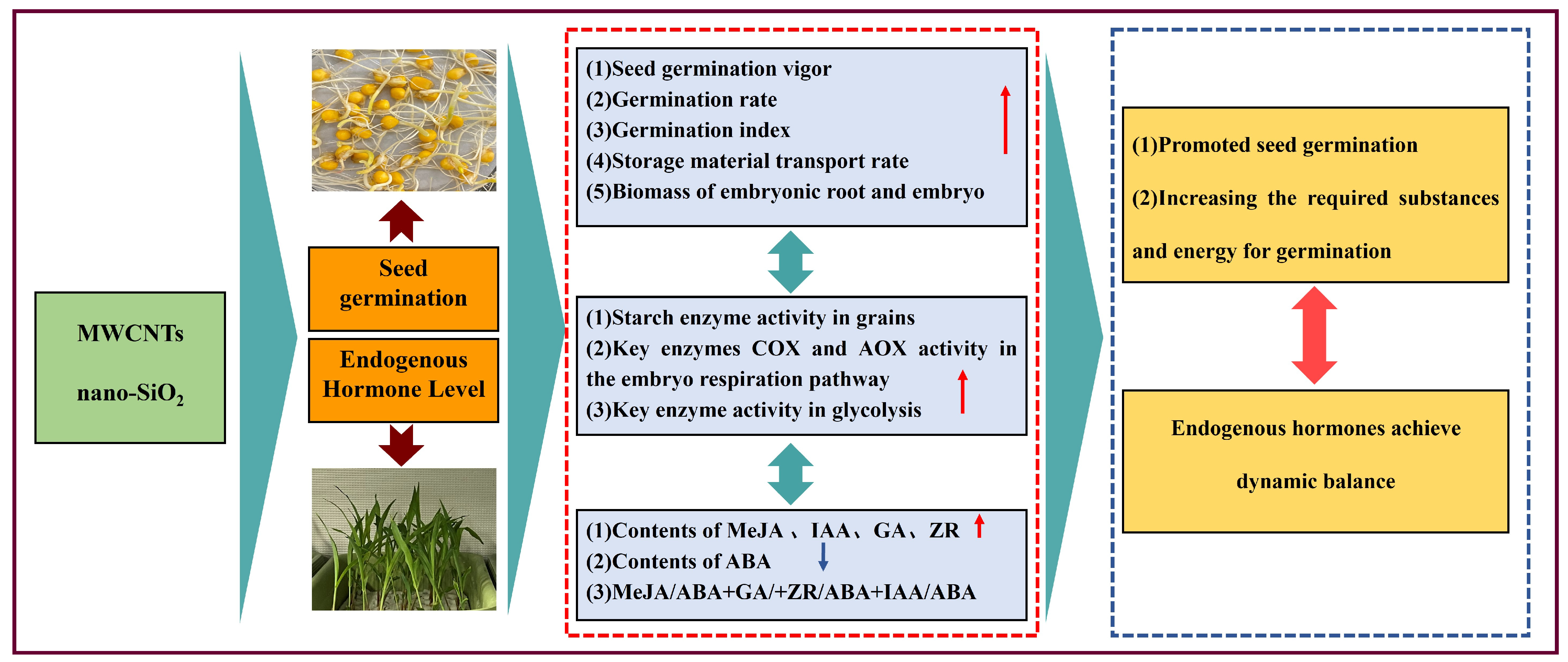Agronomy 14 02908 g014