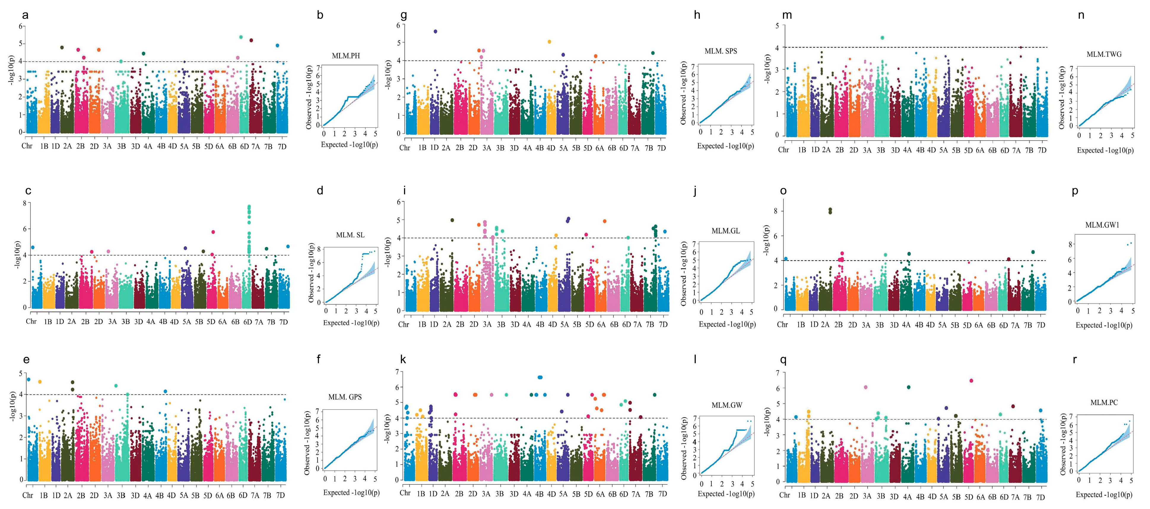 Agronomy 14 02910 g004