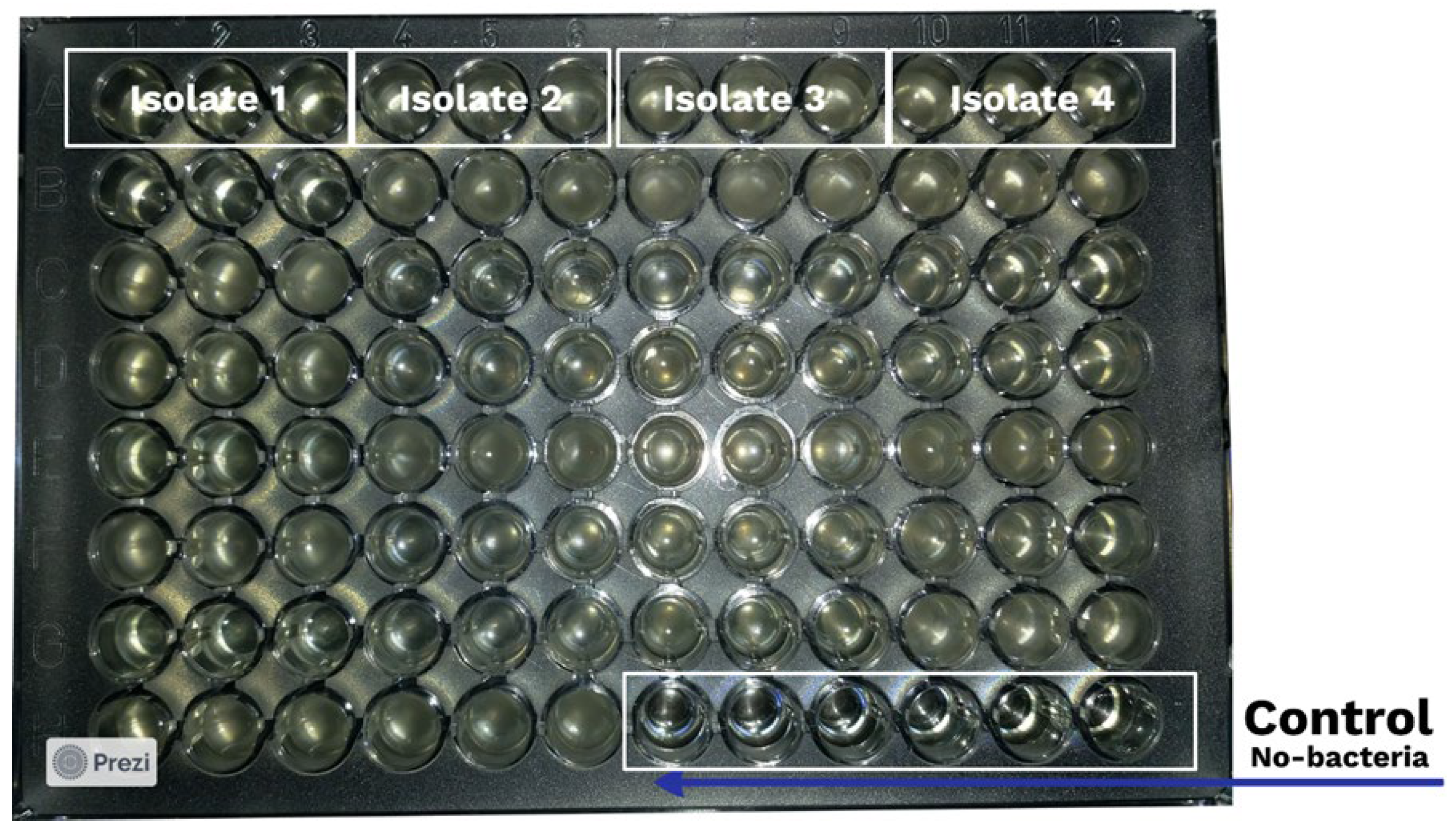 Agronomy 14 02912 g003