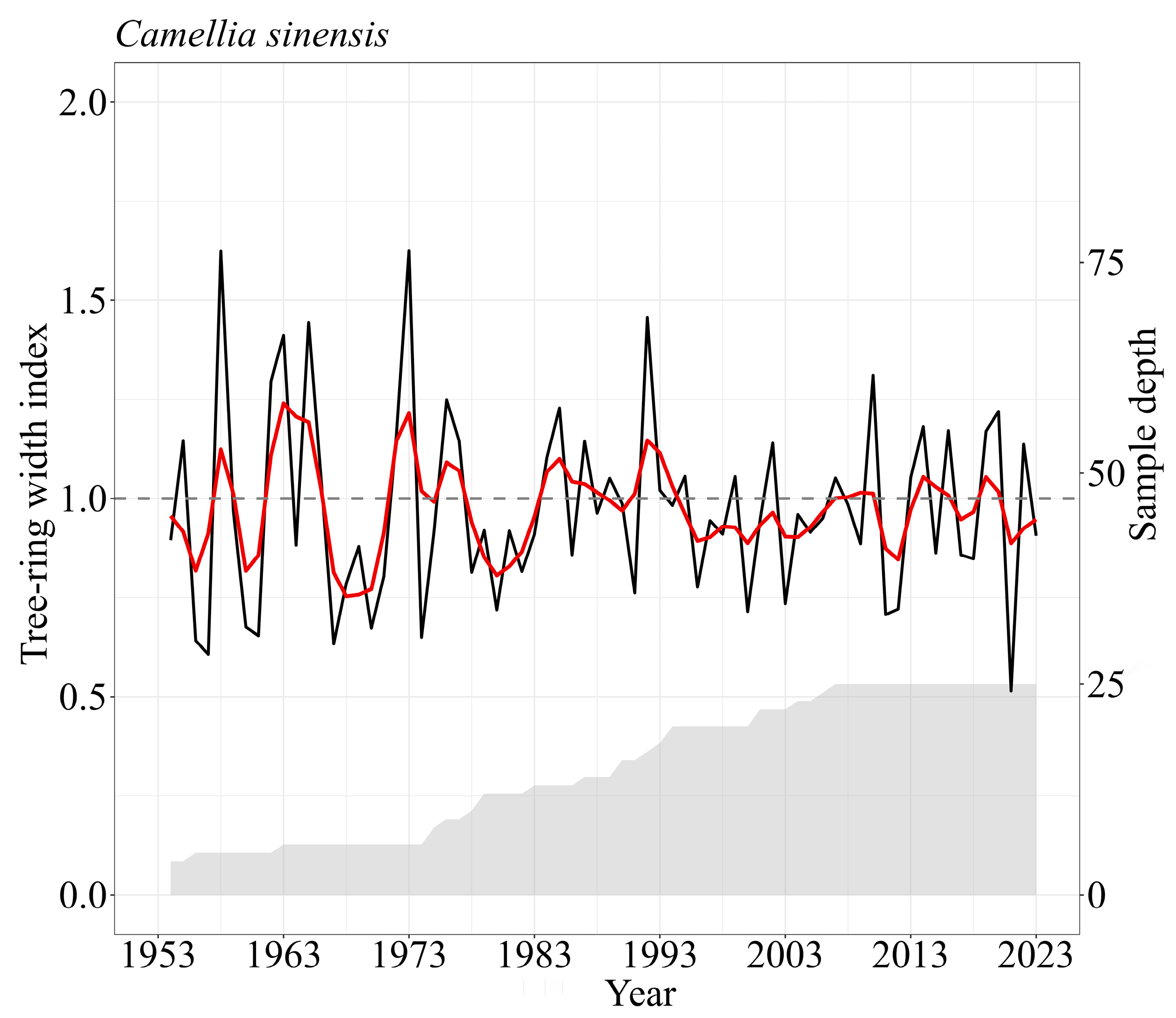 Agronomy 14 02913 g003