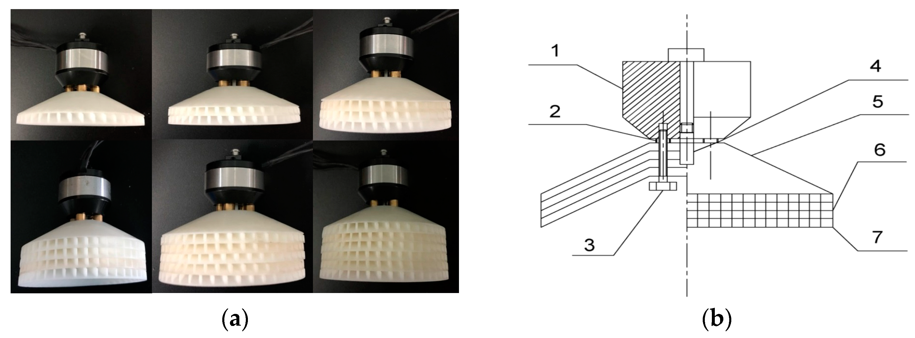 Agronomy 14 02914 g001