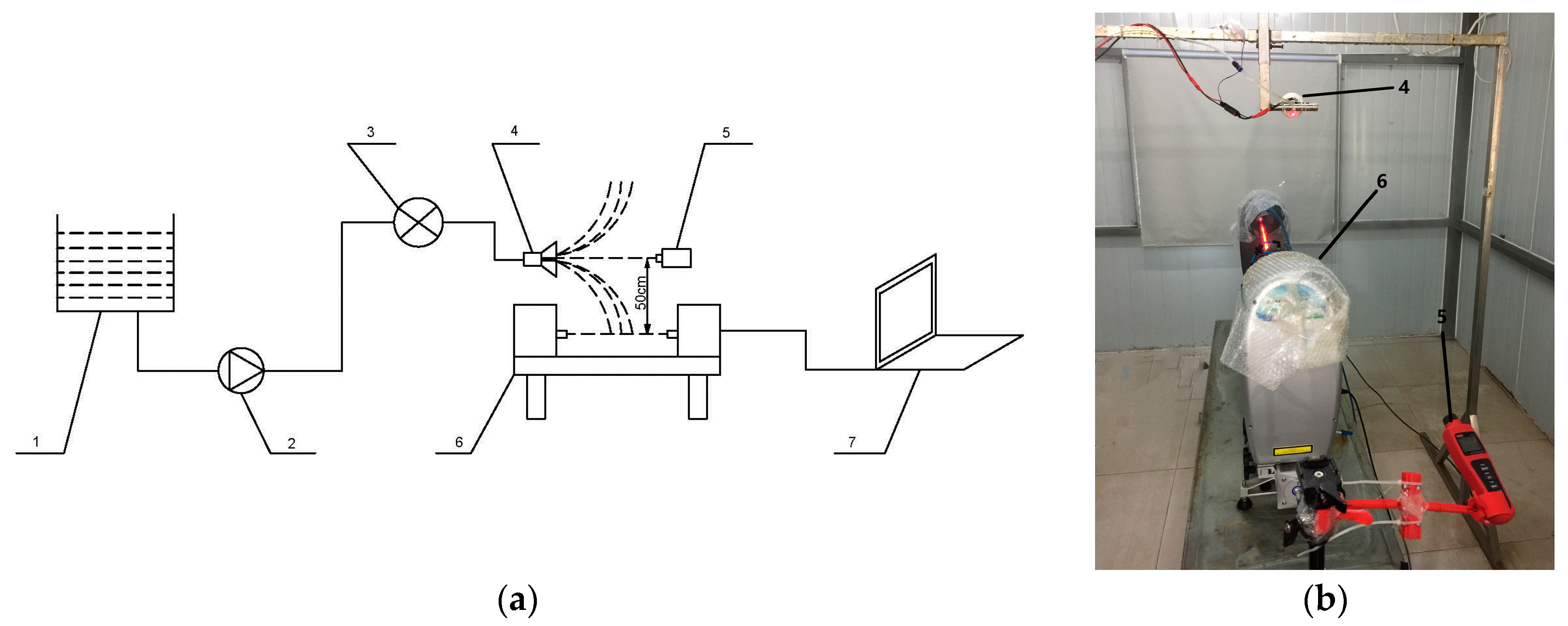 Agronomy 14 02914 g003