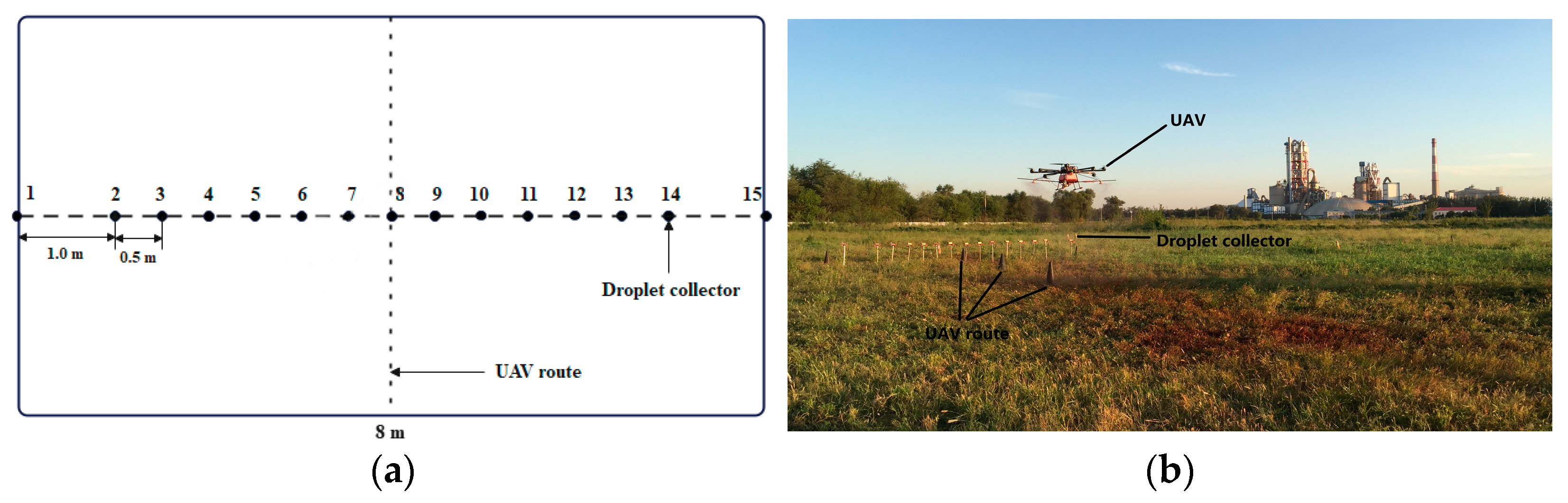 Agronomy 14 02914 g005