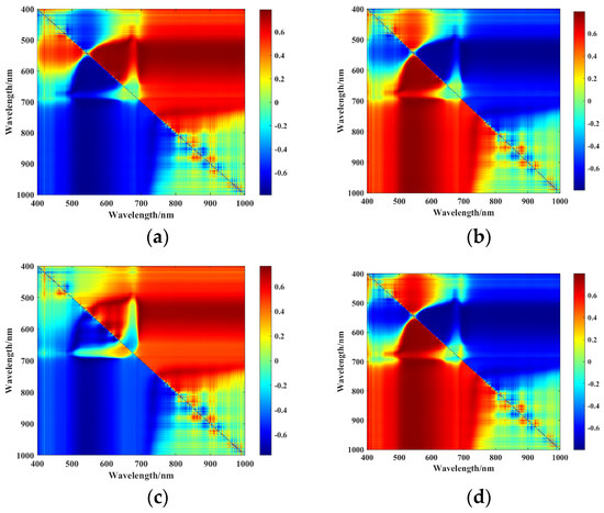 Prediction of Anthocyanin Content in Purple-Leaf Lettuce