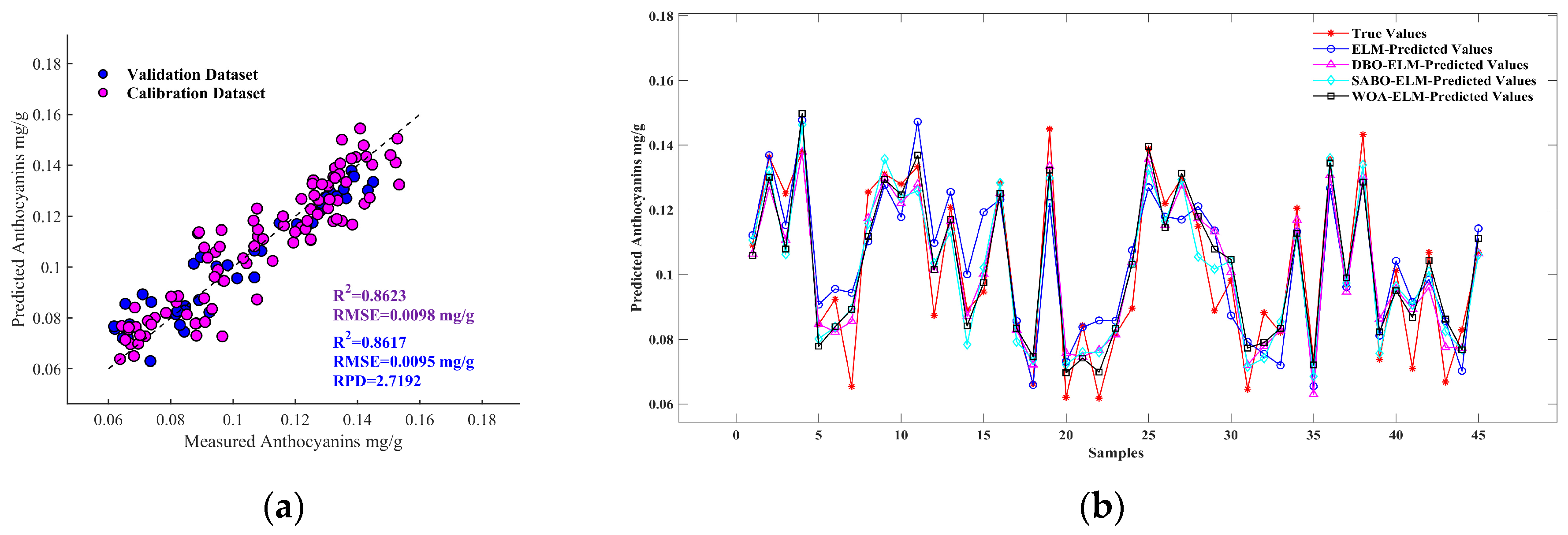 Agronomy 14 02915 g008