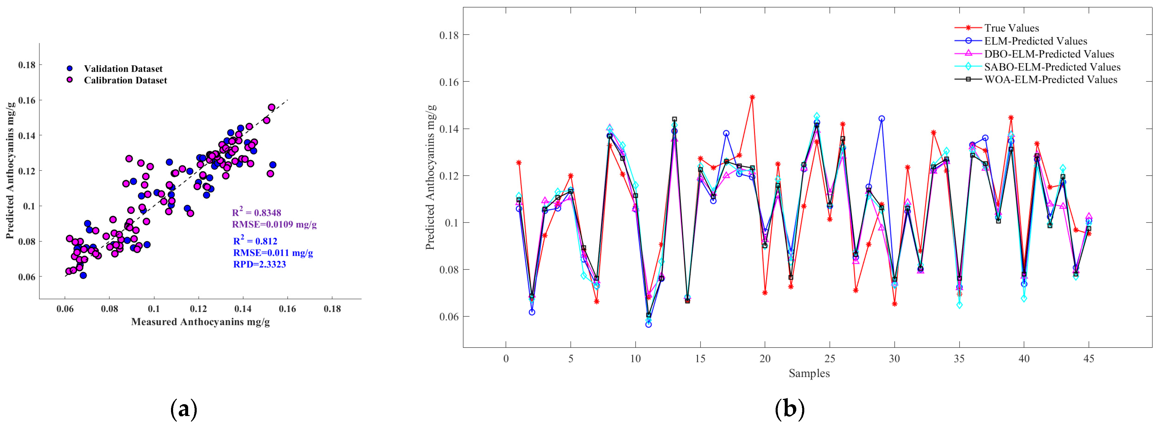 Agronomy 14 02915 g010