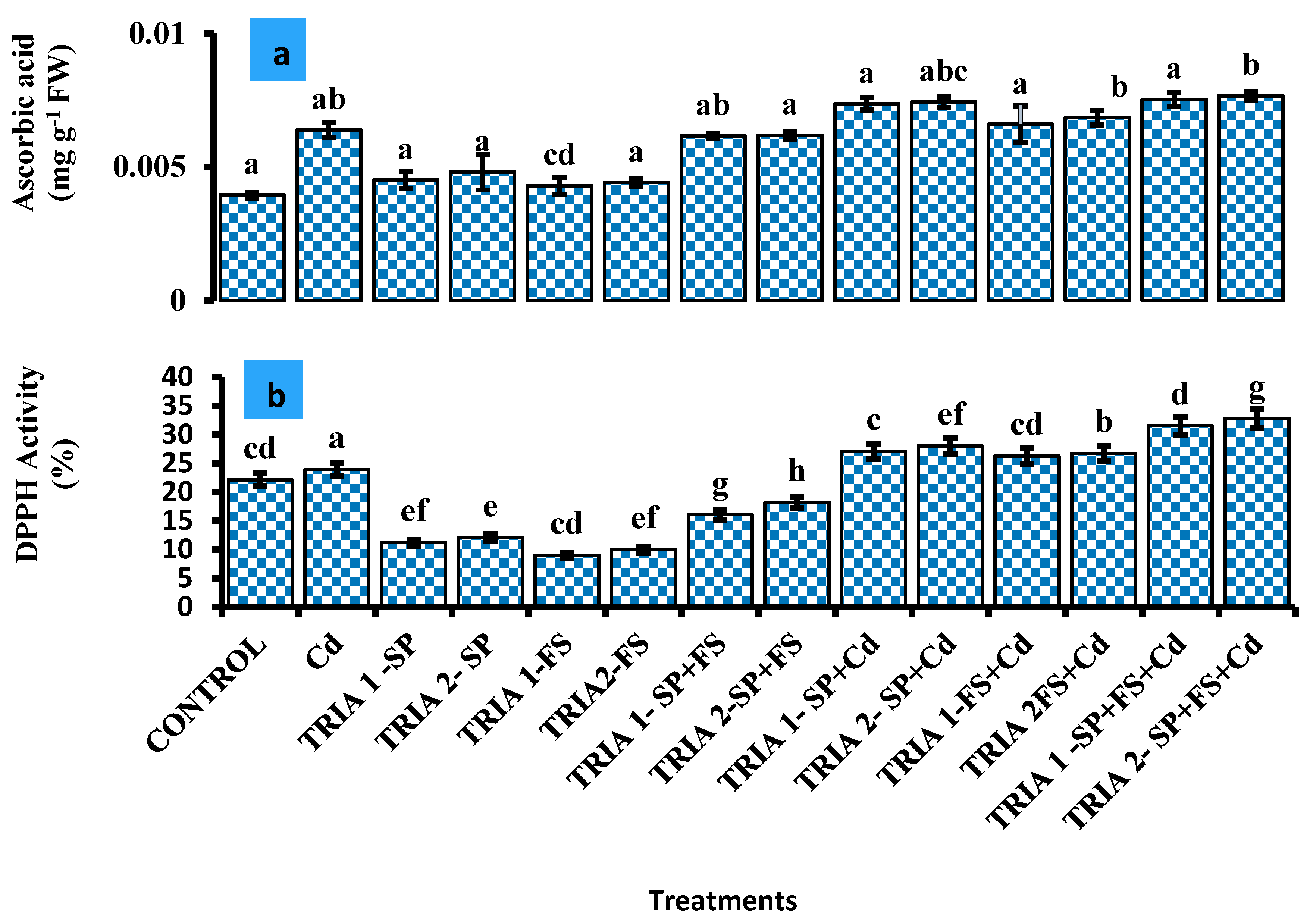 Agronomy 14 02916 g002