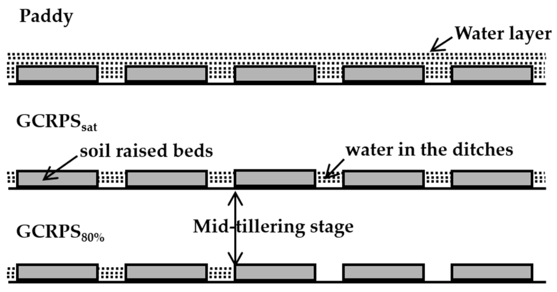 Agronomy 14 02918 g002