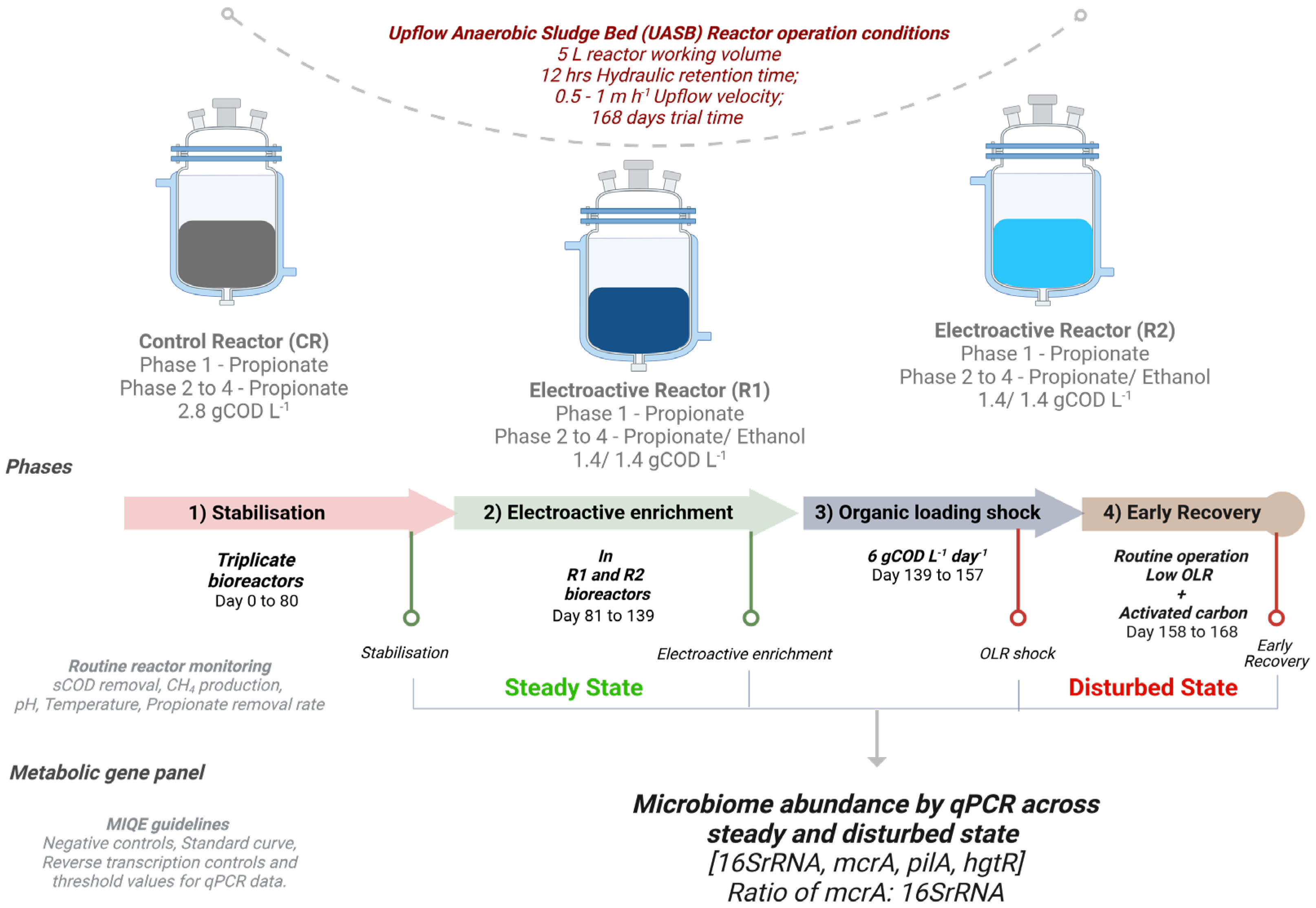 Agronomy 14 02922 g001