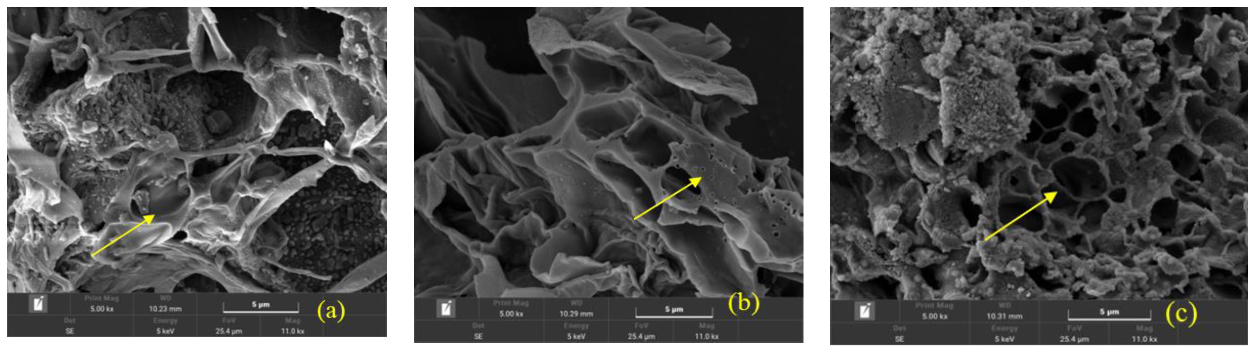 Agronomy 14 02923 g002