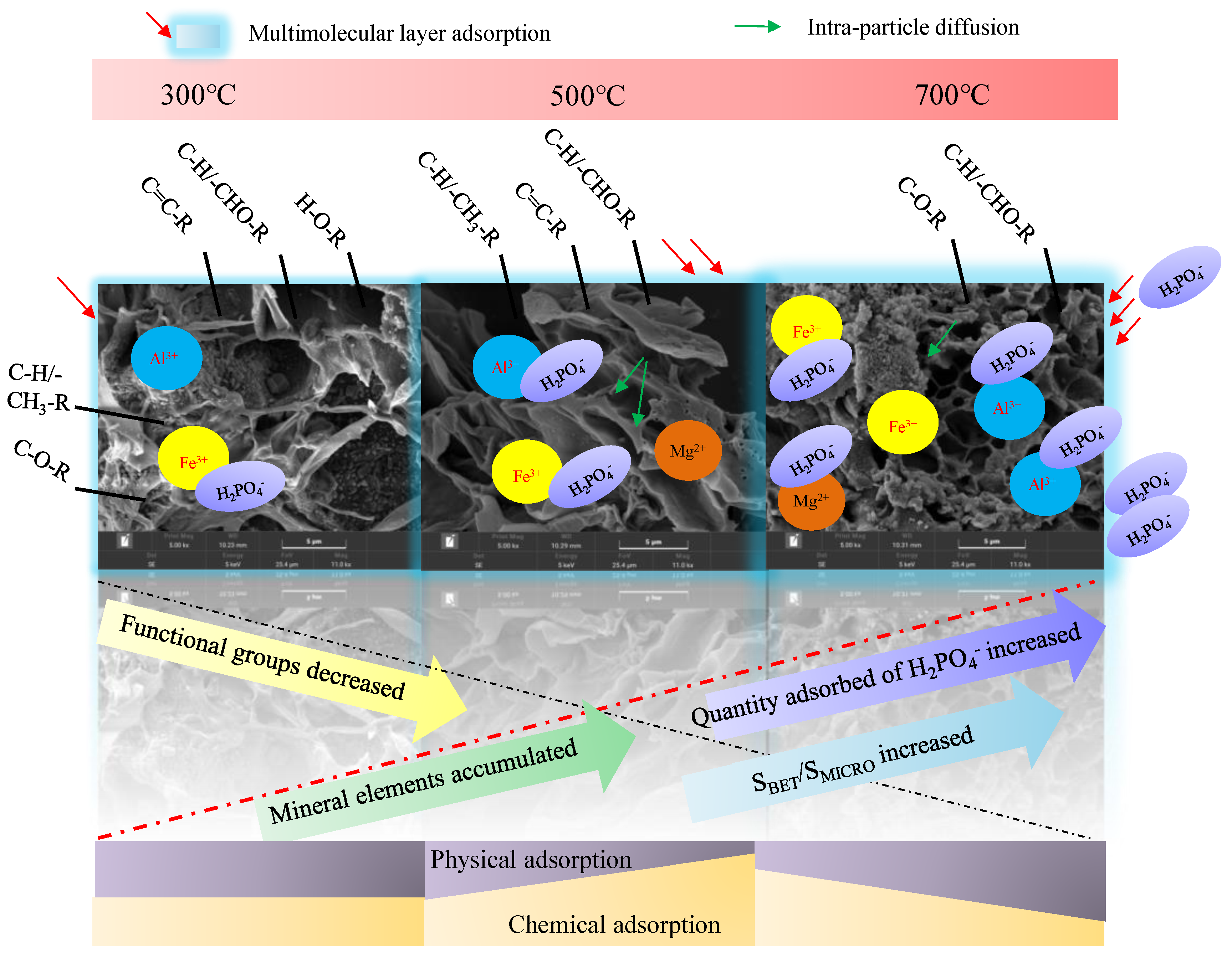 Agronomy 14 02923 g009