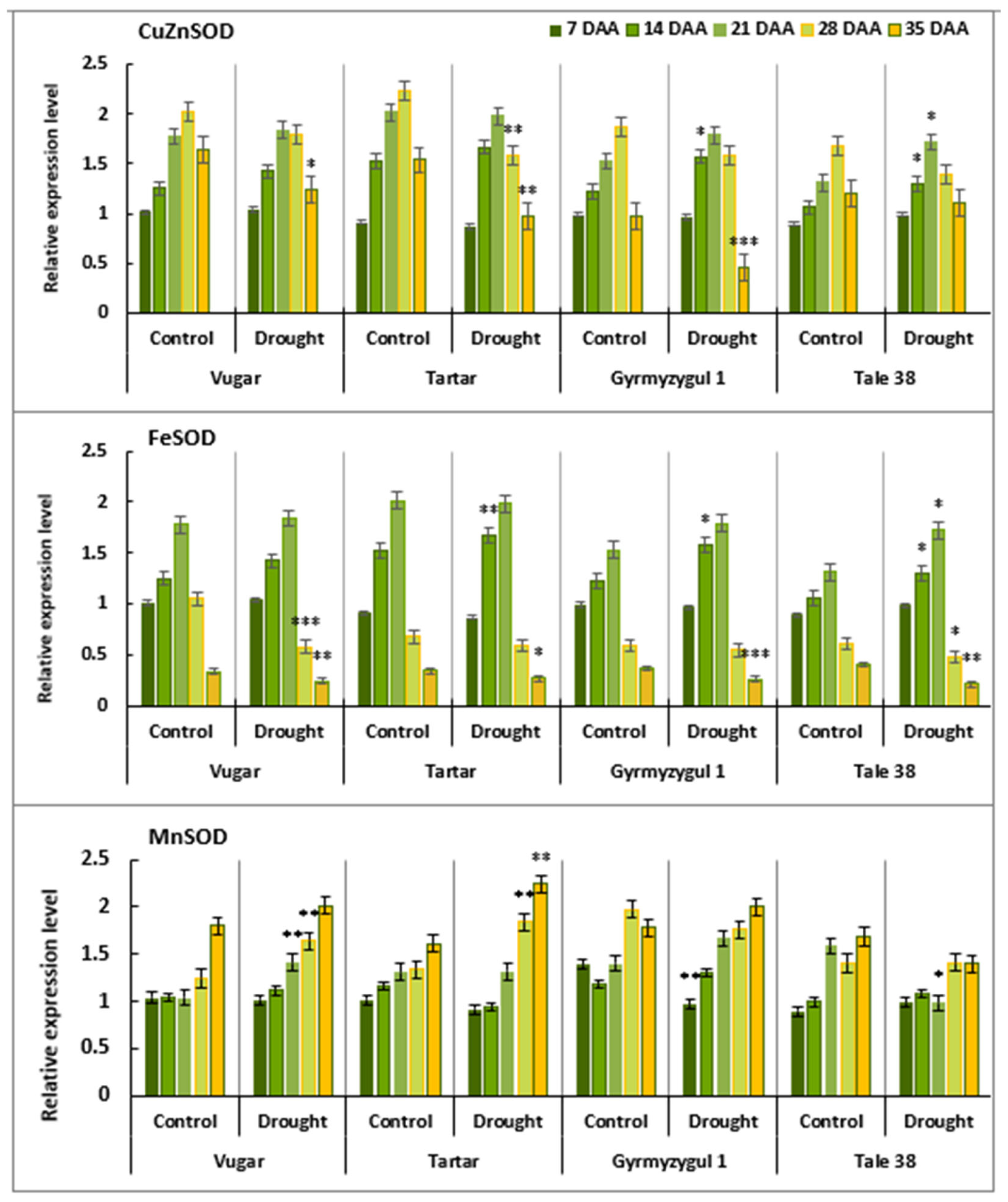 Agronomy 14 02924 g005