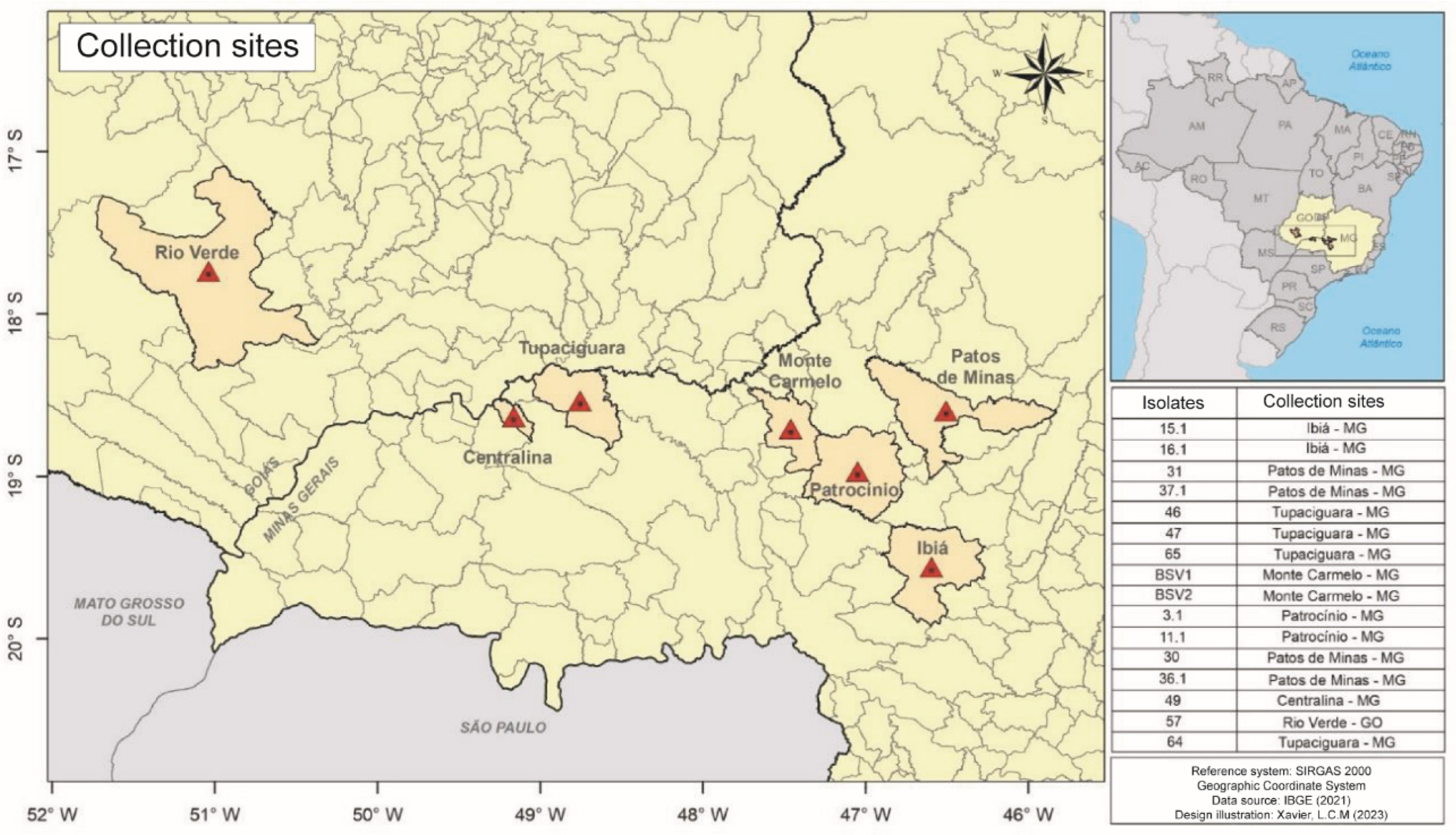 Agronomy 14 02926 g001 Agronomy 14 02926 g001