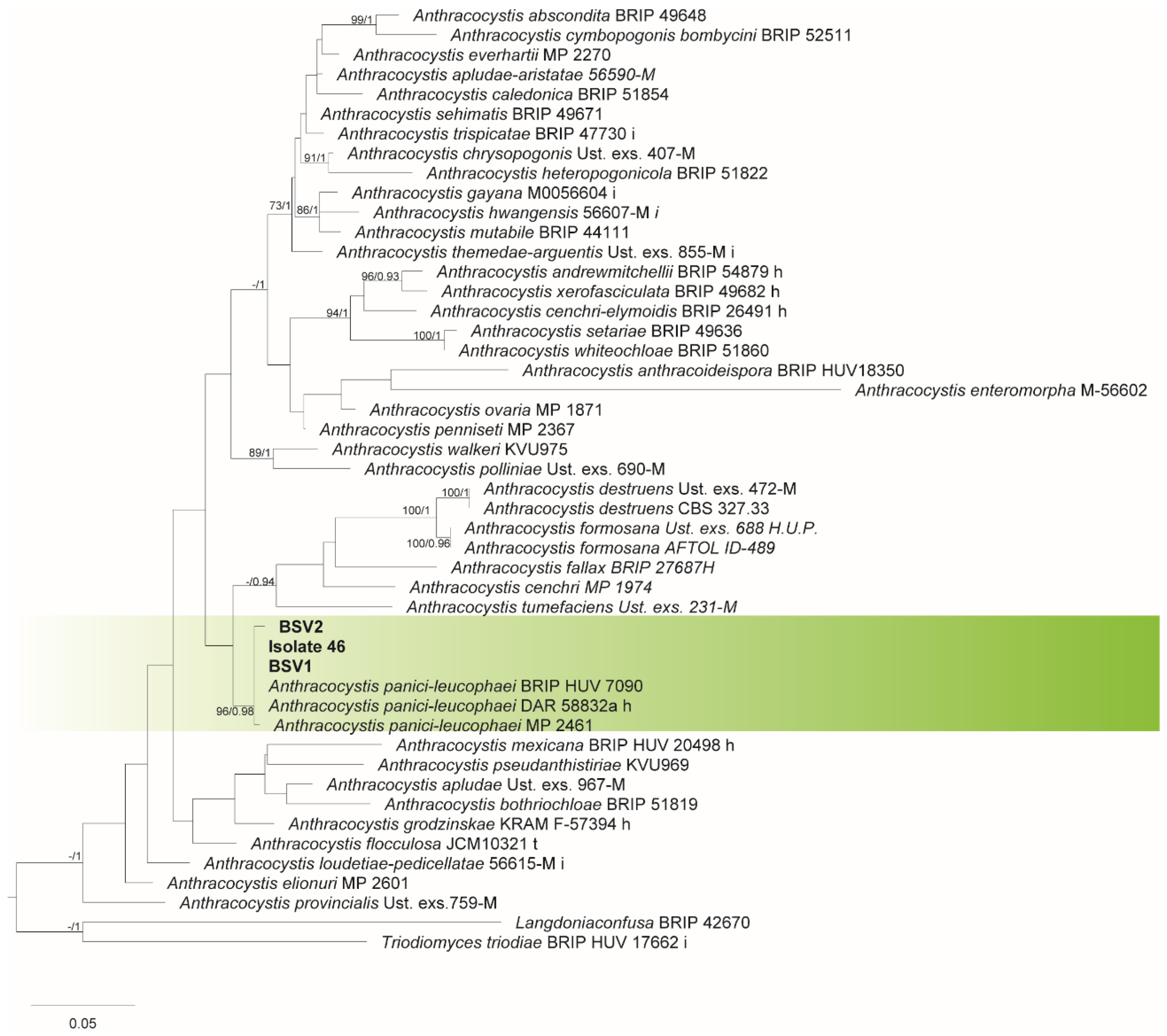 Agronomy 14 02926 g004 Agronomy 14 02926 g004