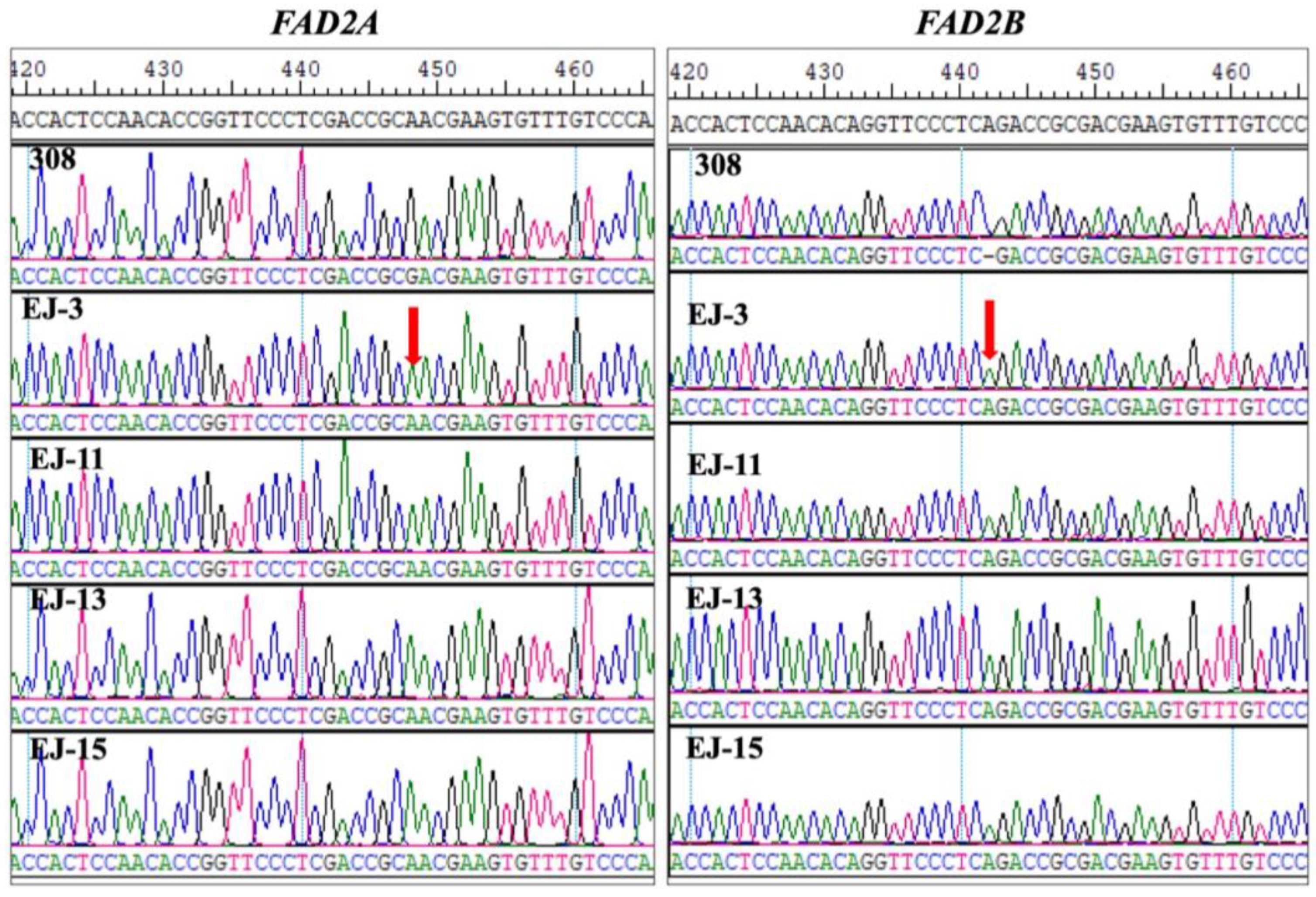 Agronomy 14 02928 g002