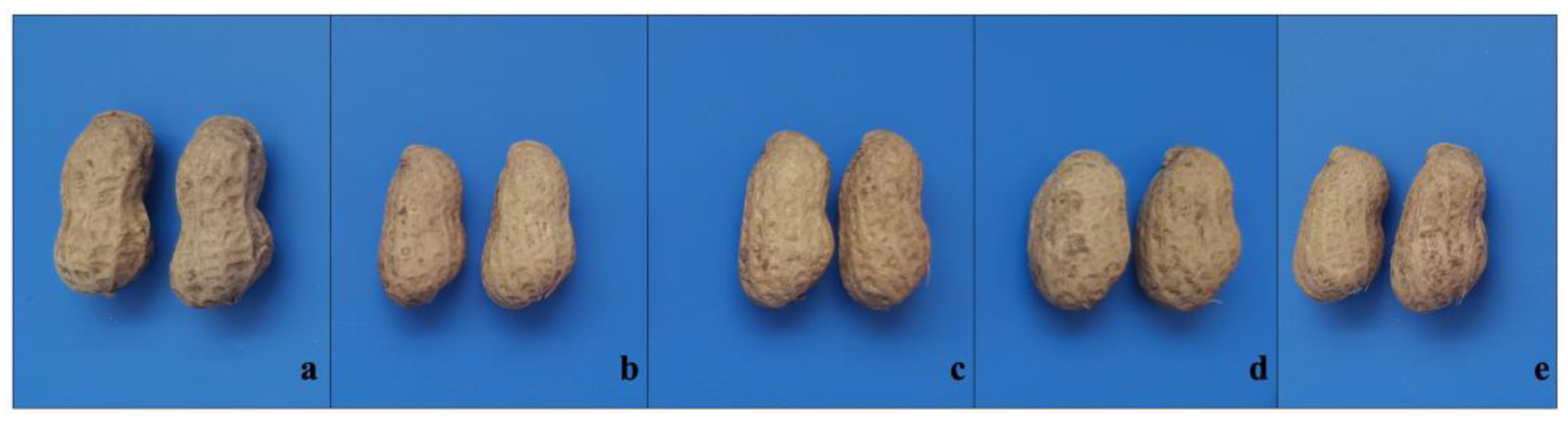 Agronomy 14 02928 g003