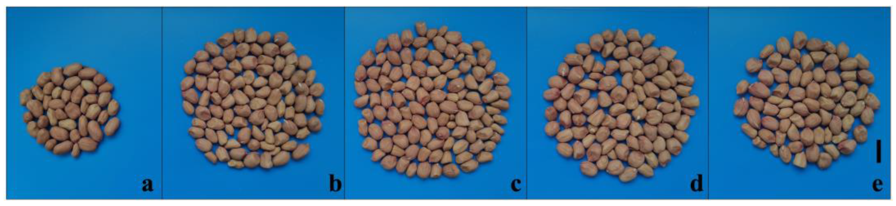 Agronomy 14 02928 g004