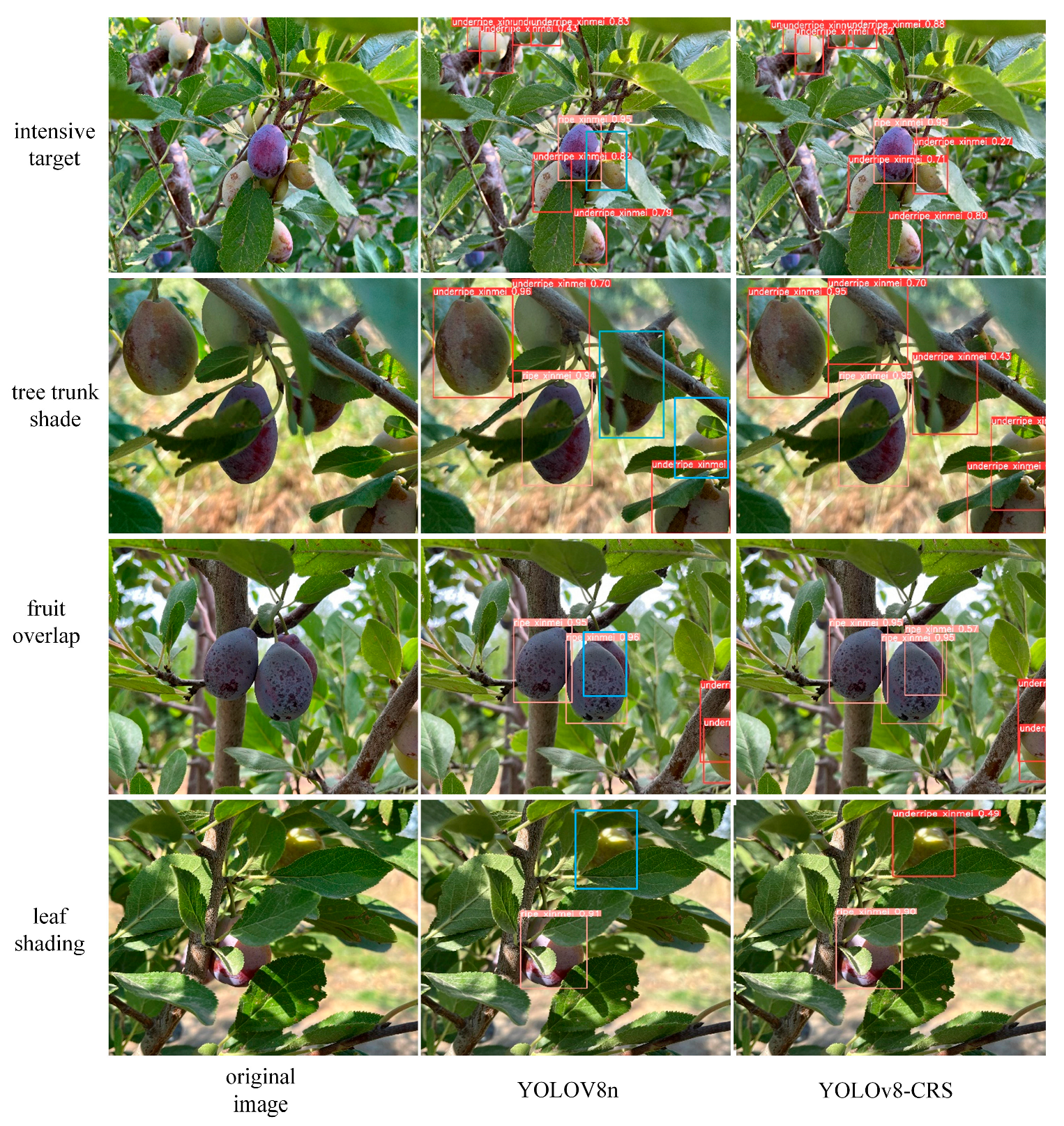 Agronomy 14 02931 g007