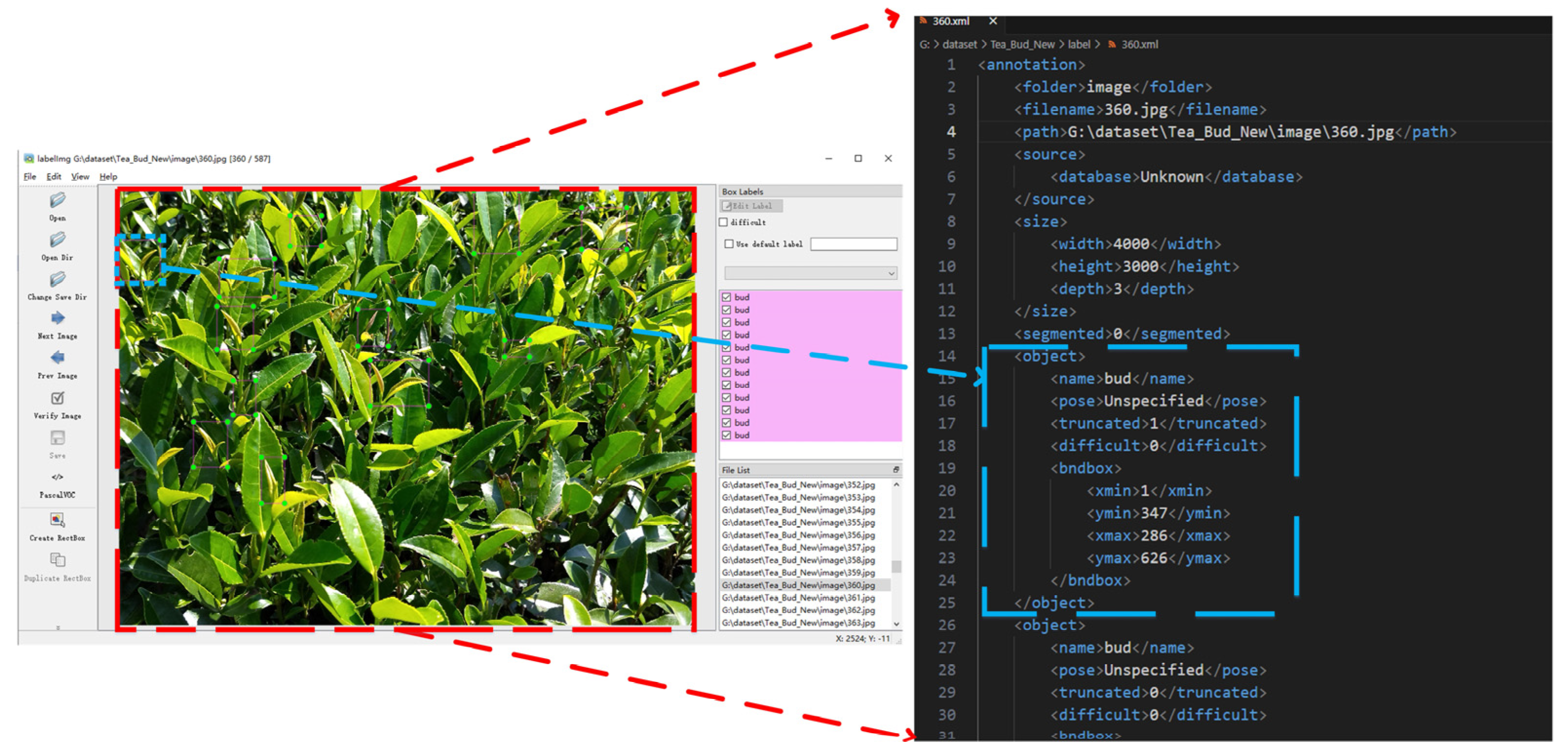 Agronomy 14 02939 g002