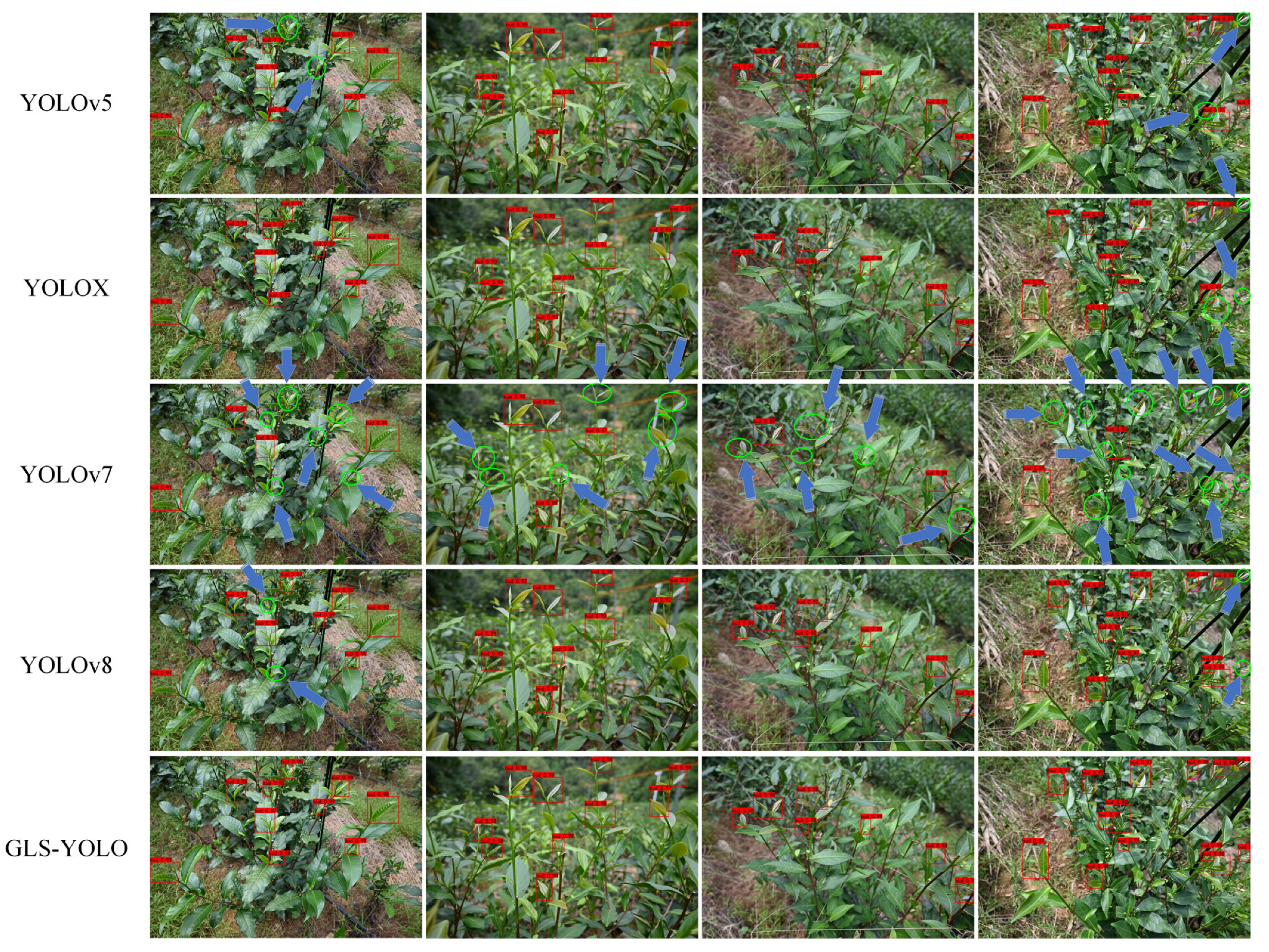 Agronomy 14 02939 g011