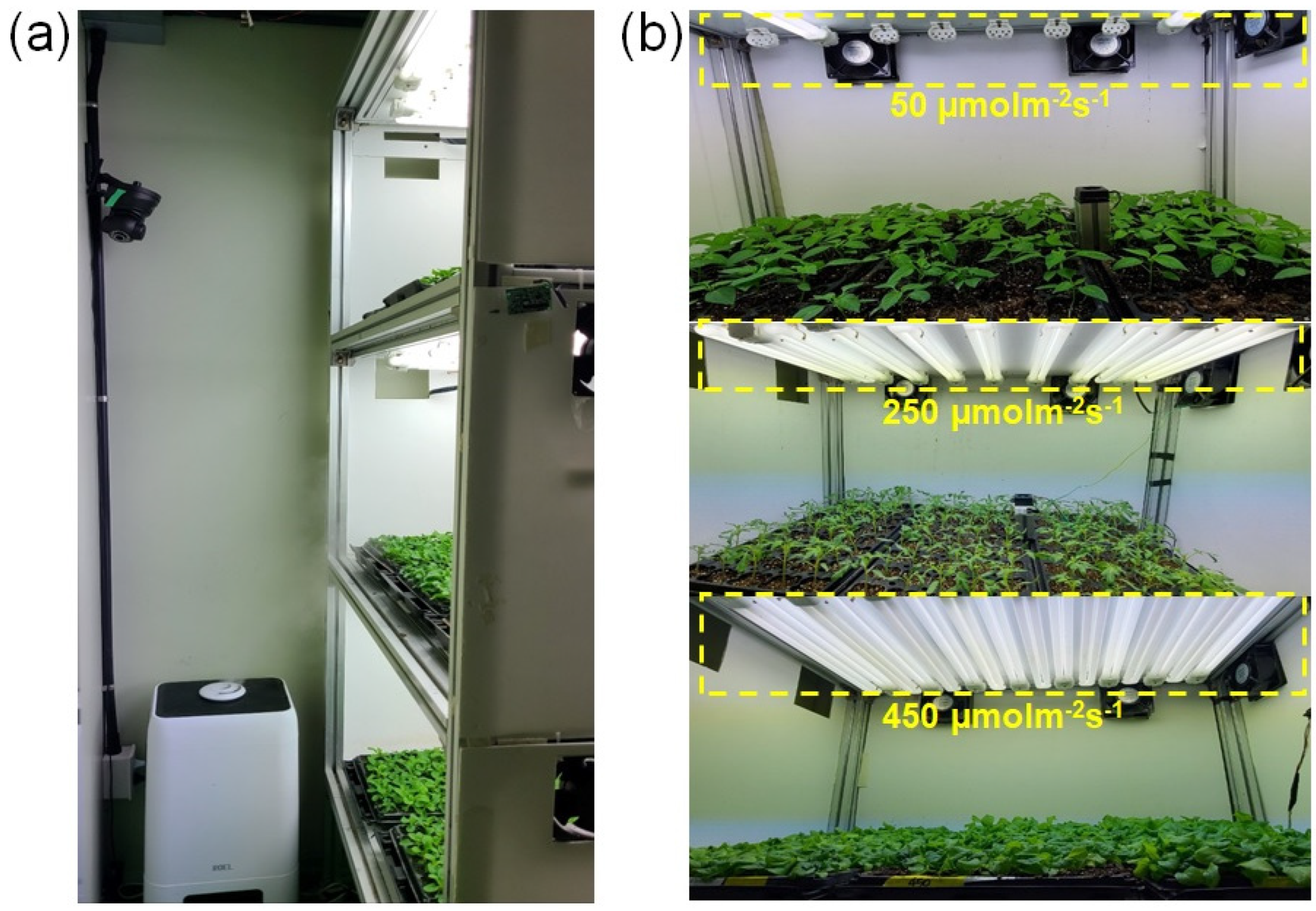 Agronomy 14 02940 g002 Agronomy 14 02940 g002