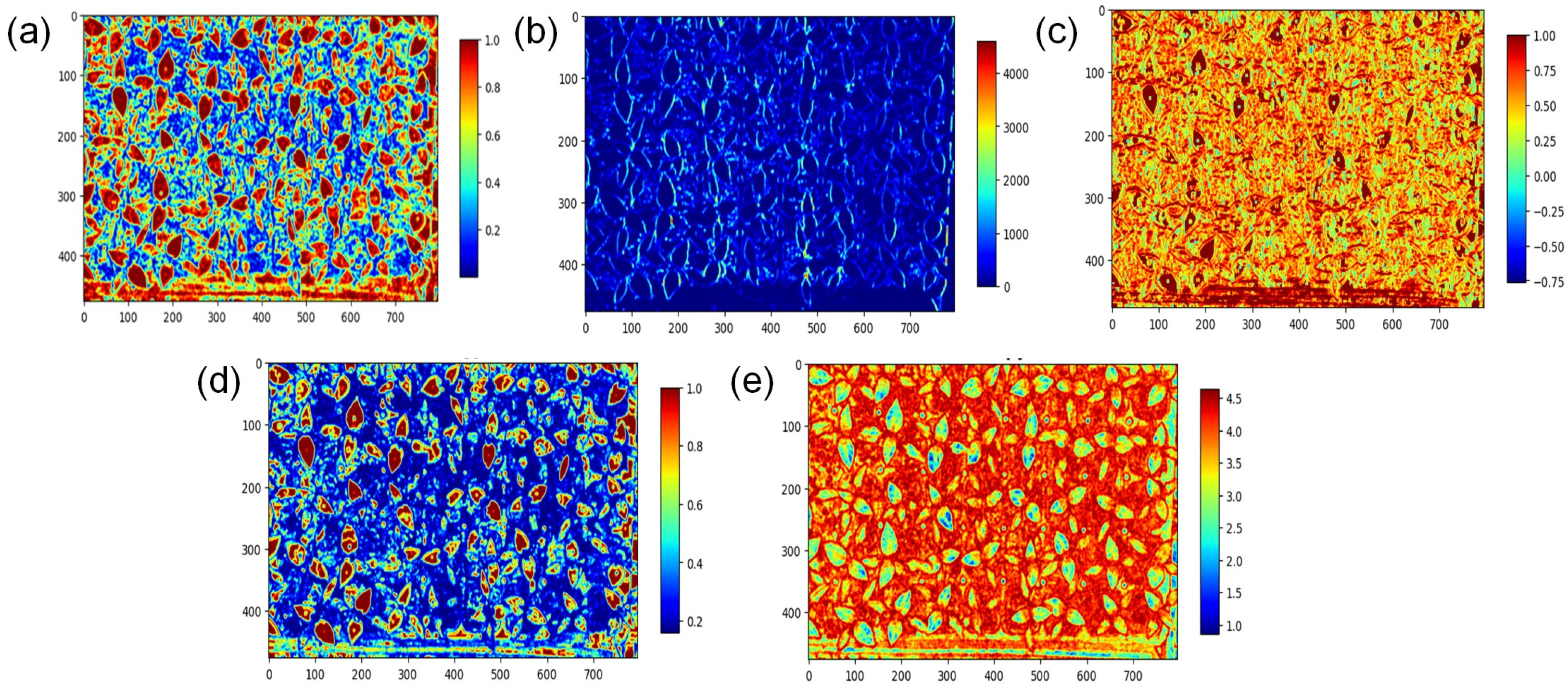 Agronomy 14 02940 g008 Agronomy 14 02940 g008