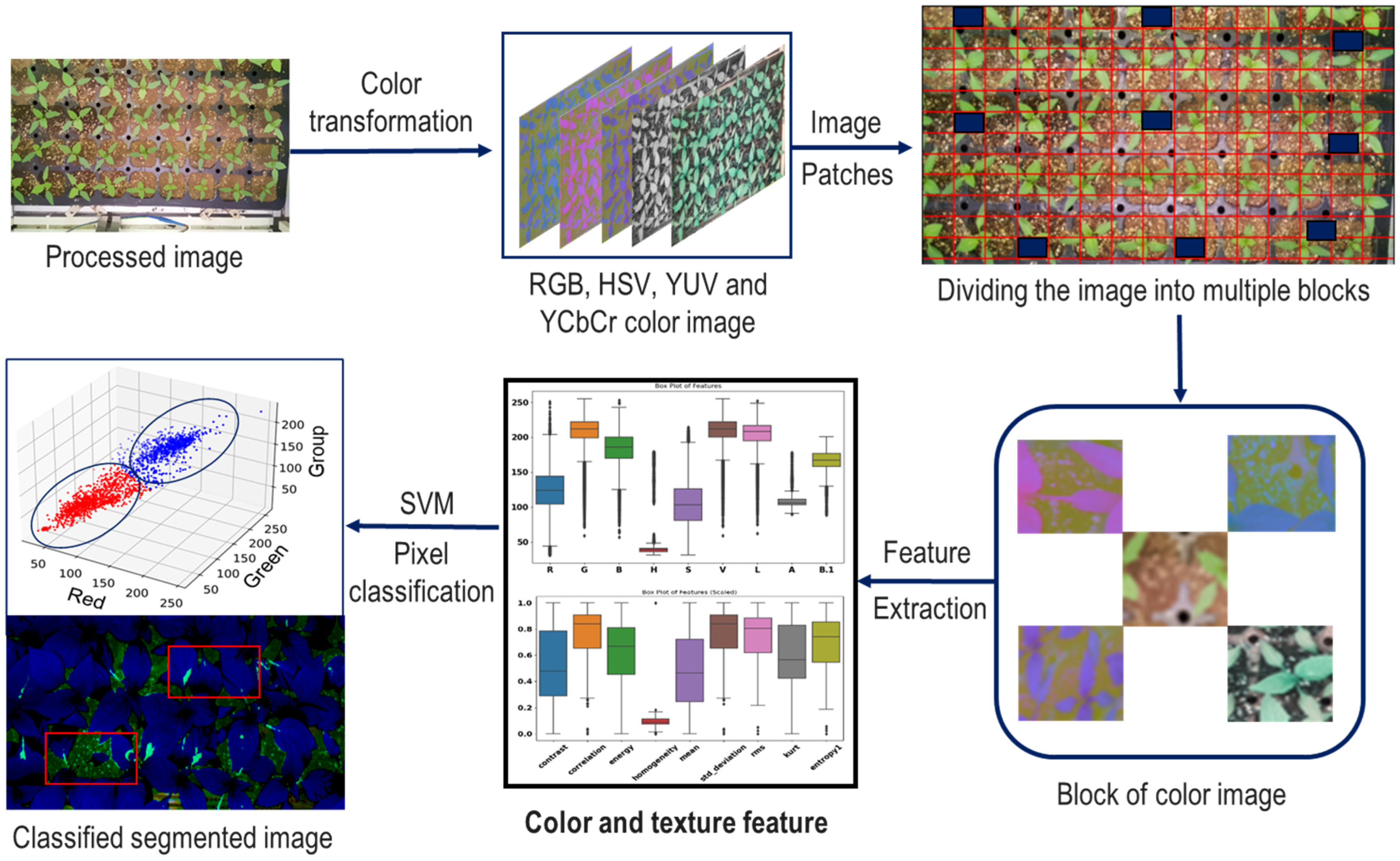 Agronomy 14 02940 g014 Agronomy 14 02940 g014