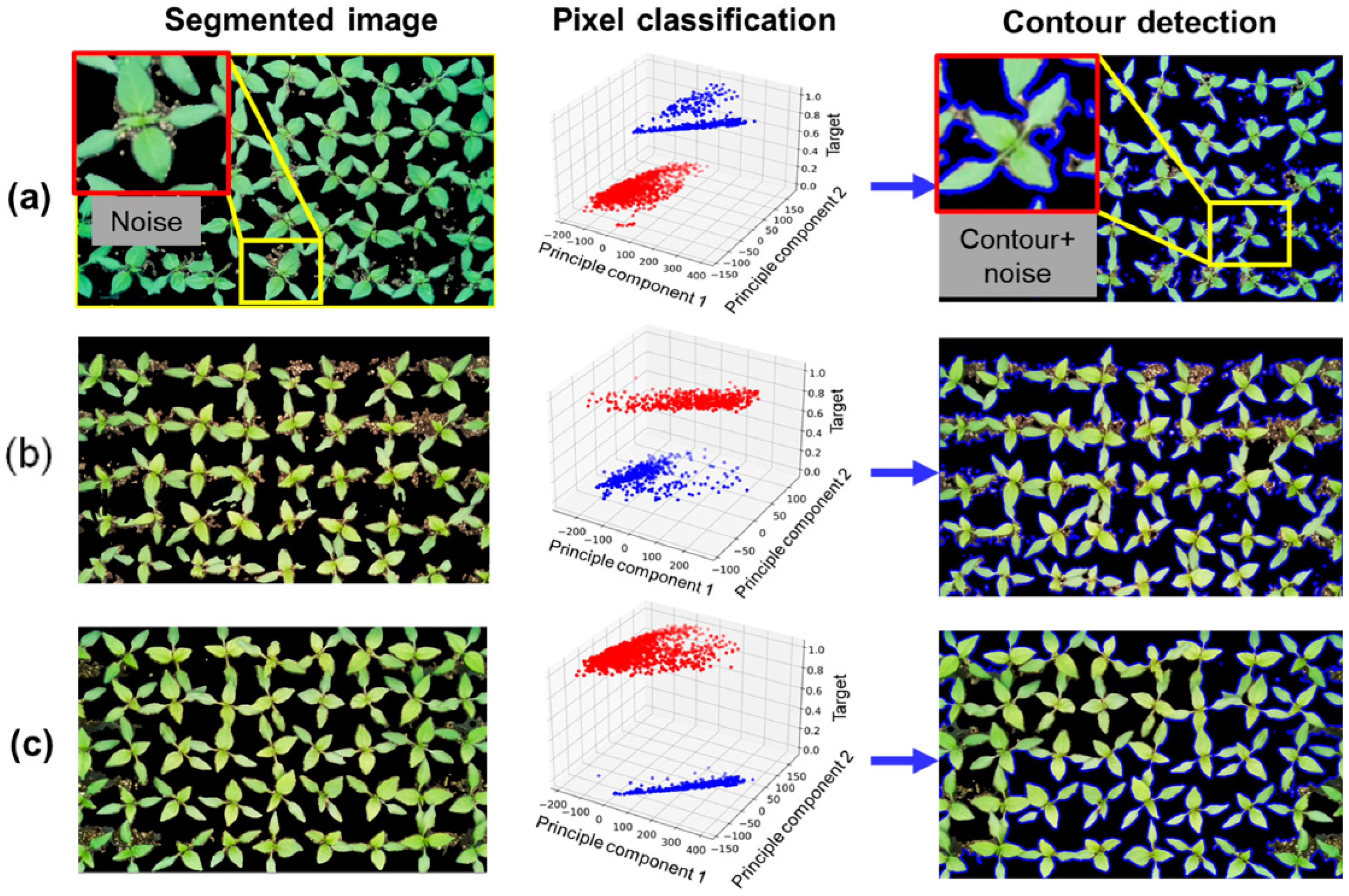Agronomy 14 02940 g018 Agronomy 14 02940 g018