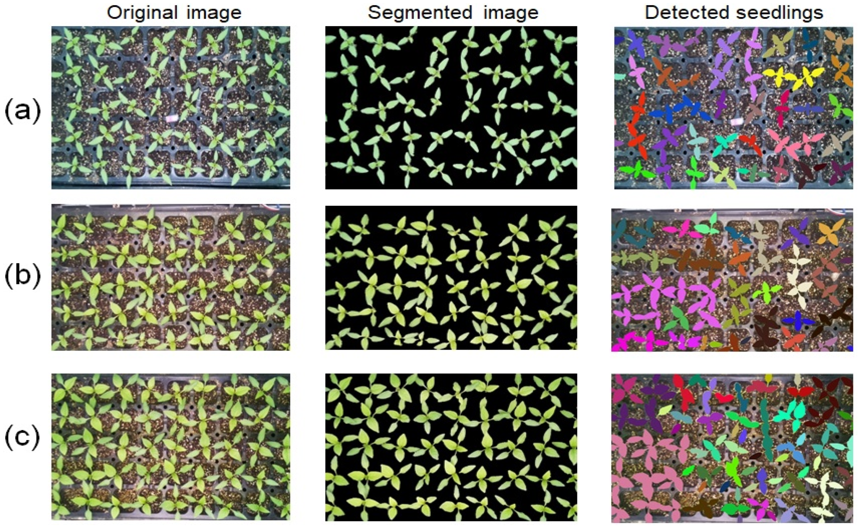 Agronomy 14 02940 g019 Agronomy 14 02940 g019