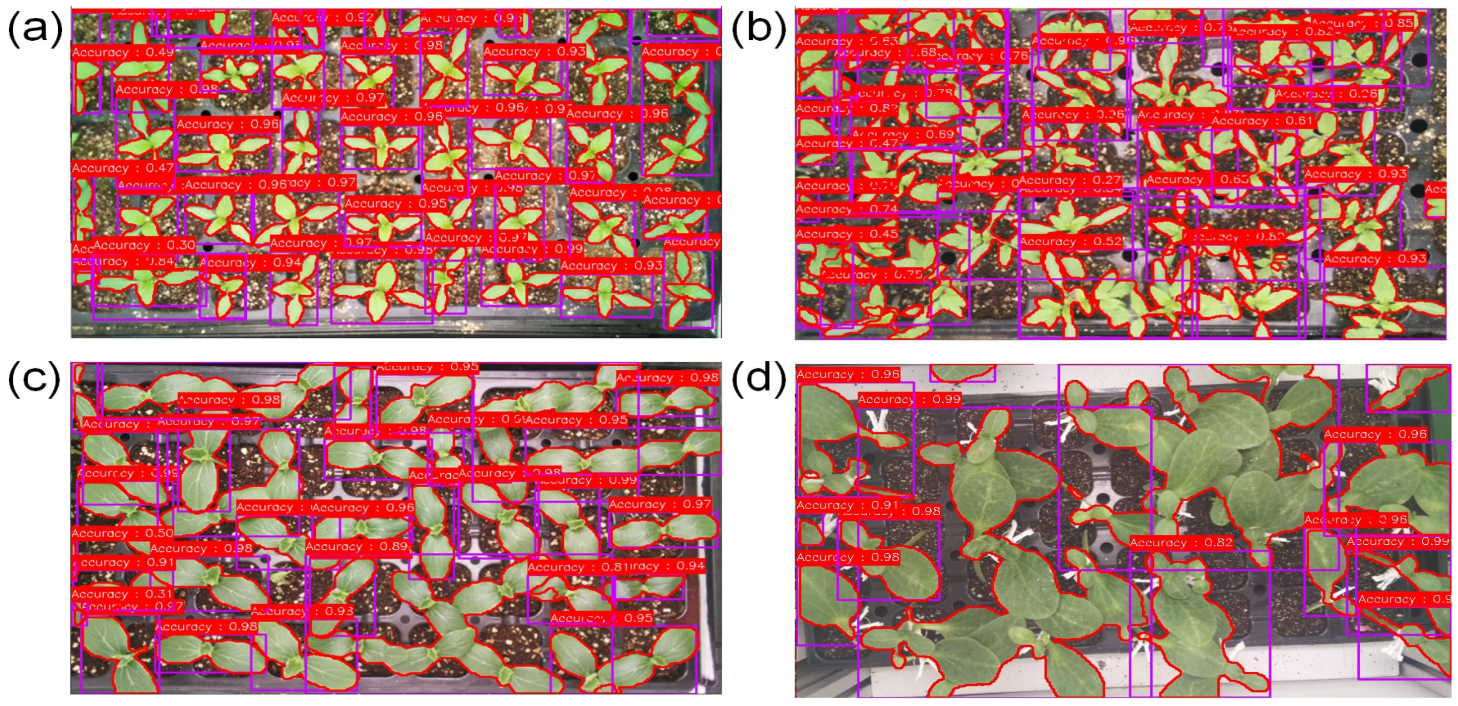 Agronomy 14 02940 g026 Agronomy 14 02940 g026