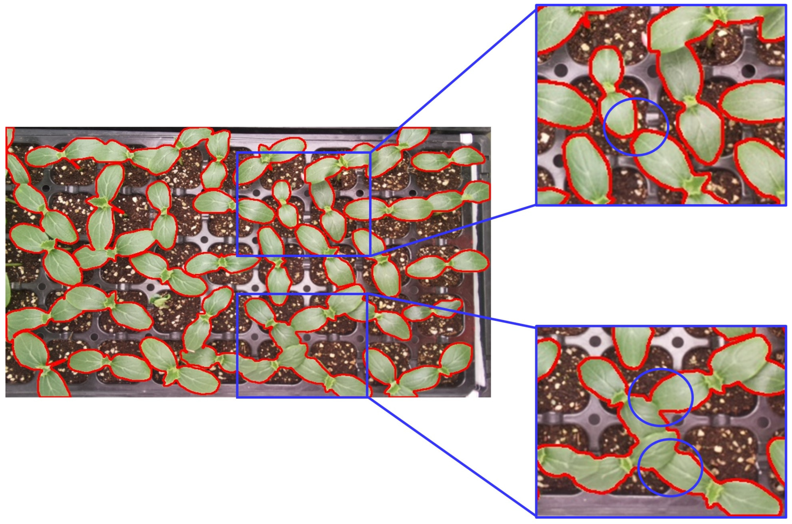 Agronomy 14 02940 g027 Agronomy 14 02940 g027