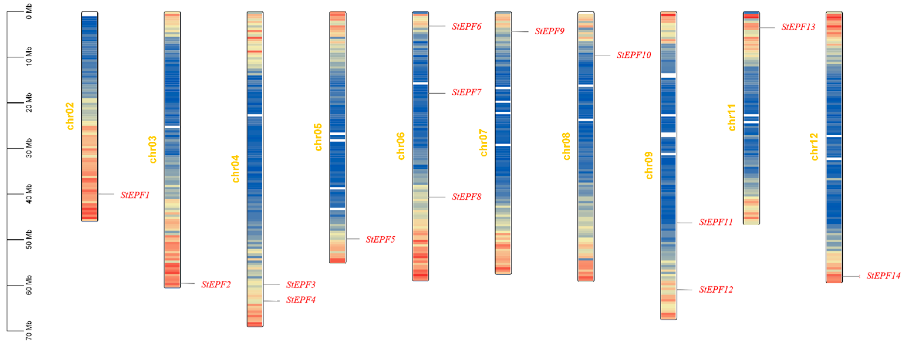 Agronomy 14 02948 g001