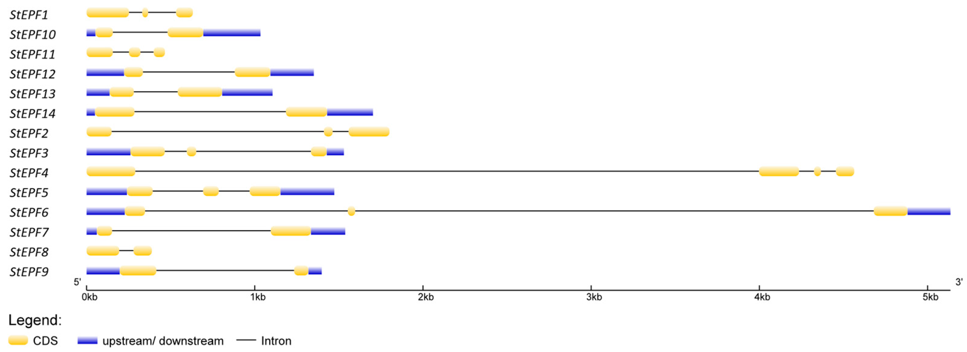 Agronomy 14 02948 g002