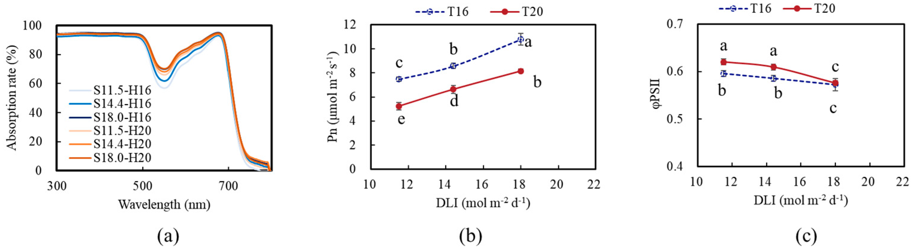 Agronomy 14 02949 g002