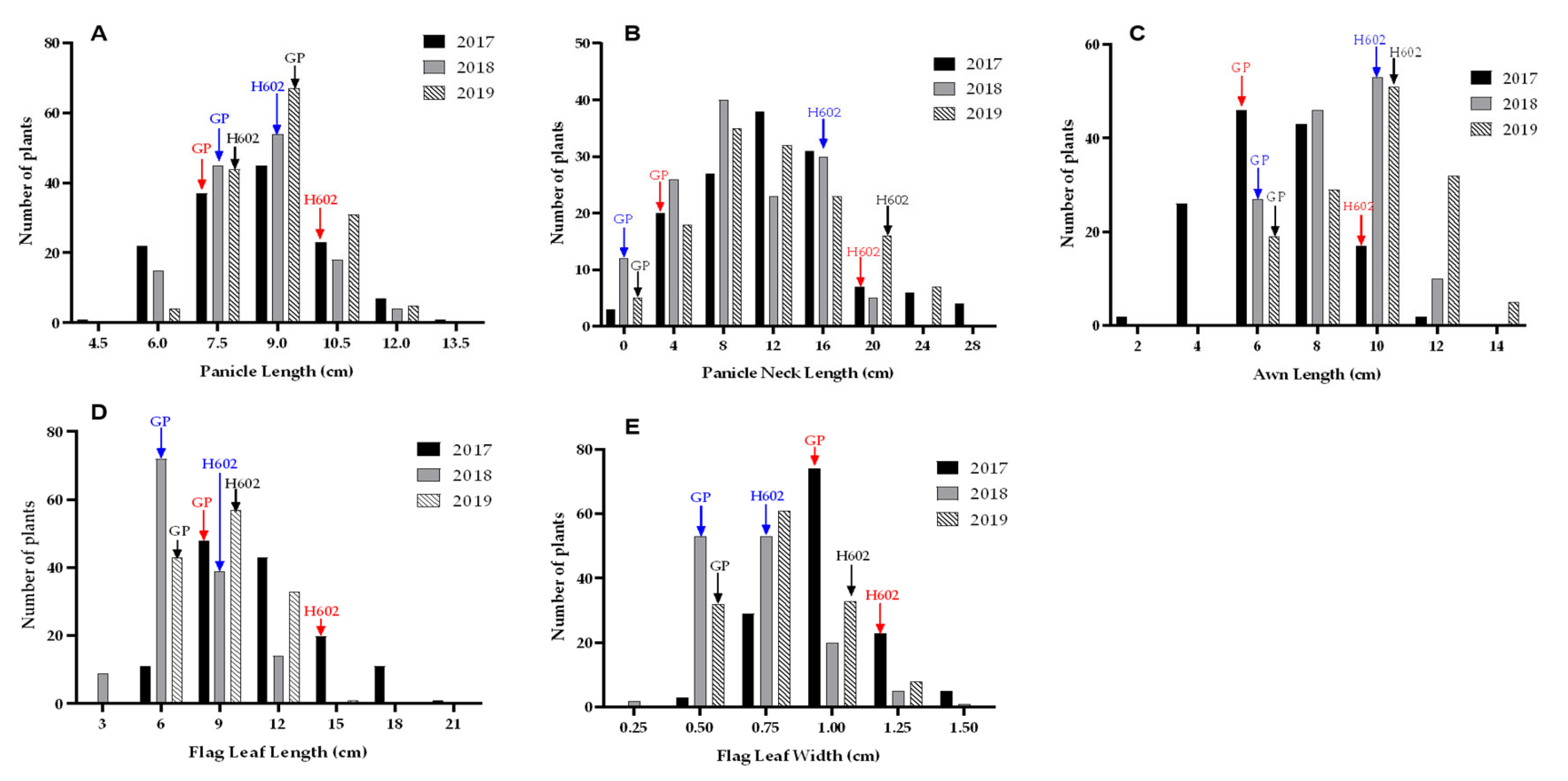 Agronomy 14 02953 g001