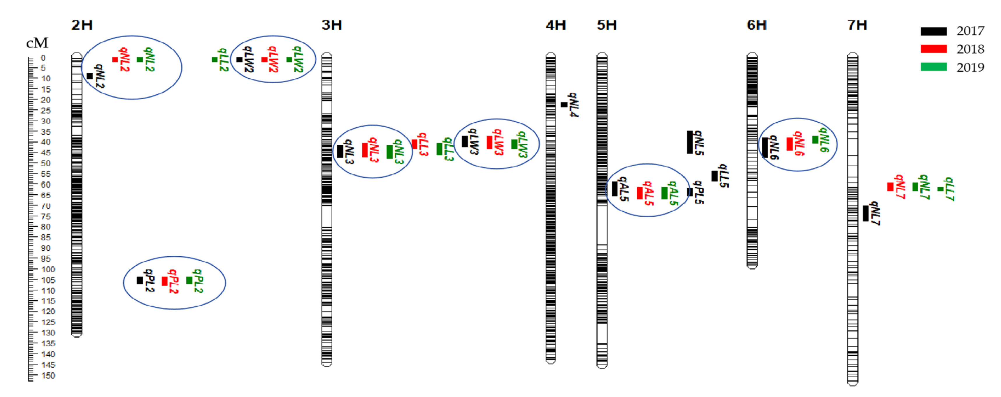 Agronomy 14 02953 g002