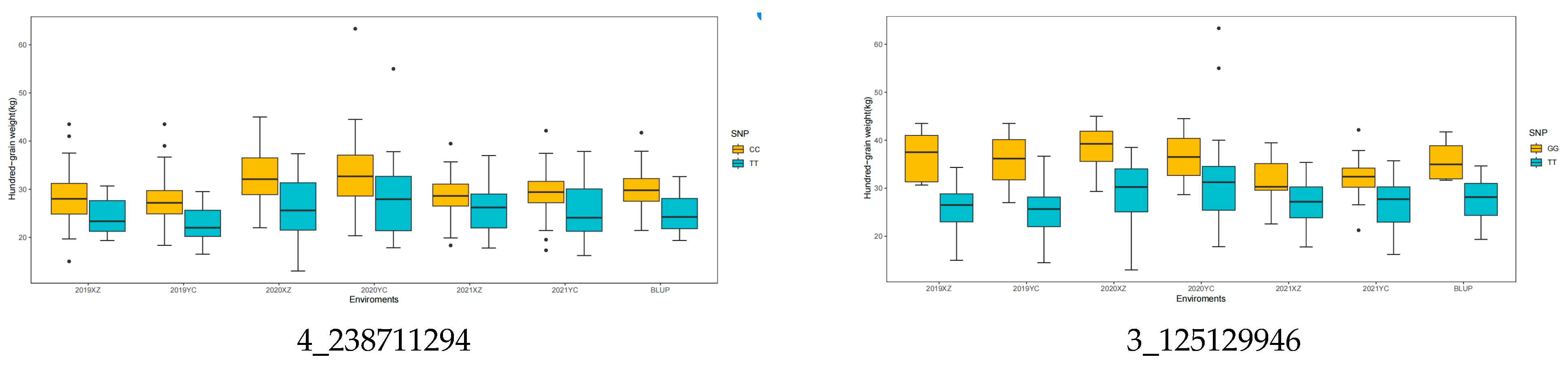 Agronomy 14 02954 g004a Agronomy 14 02954 g004a