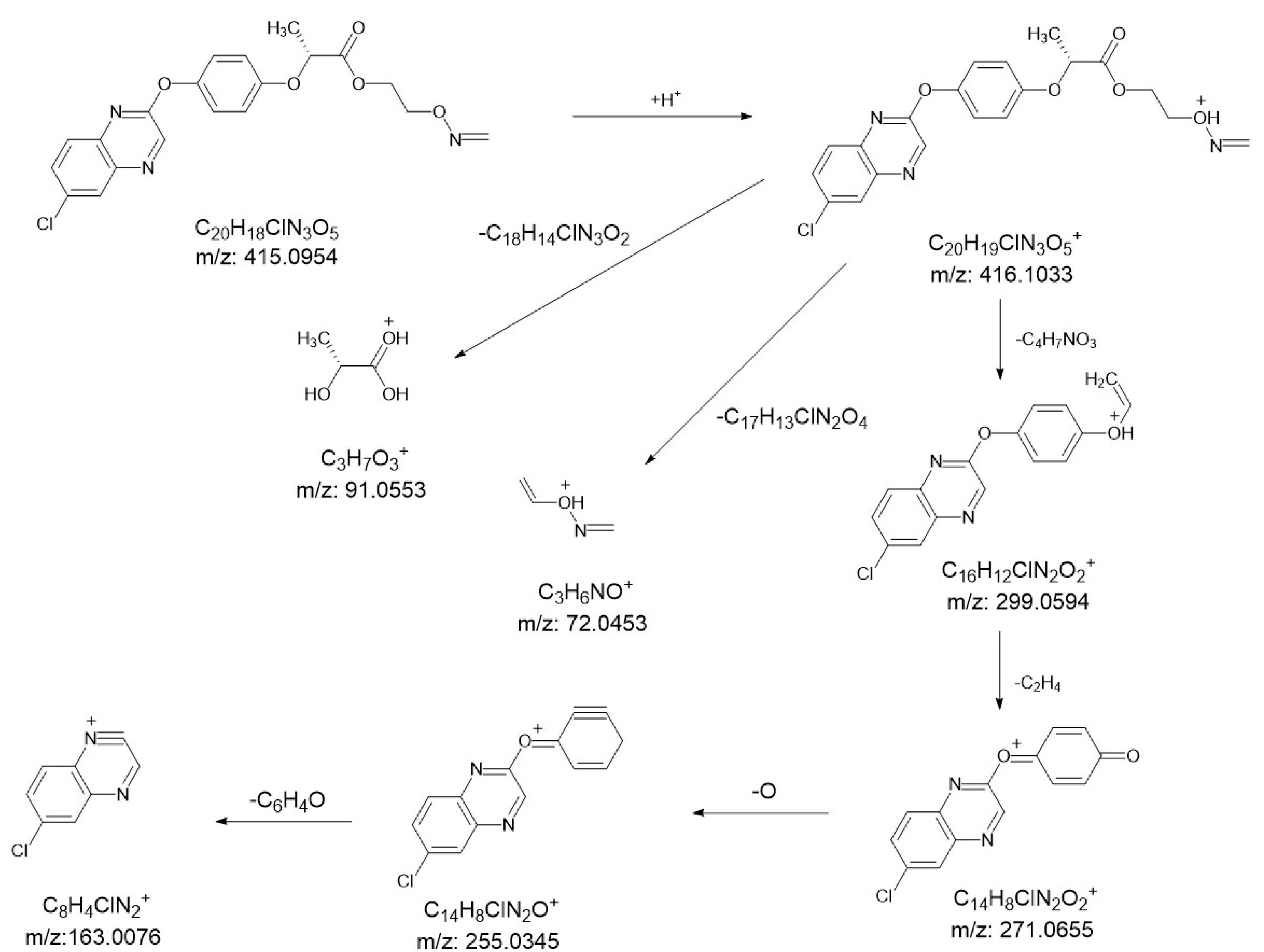 Agronomy 14 02959 g004